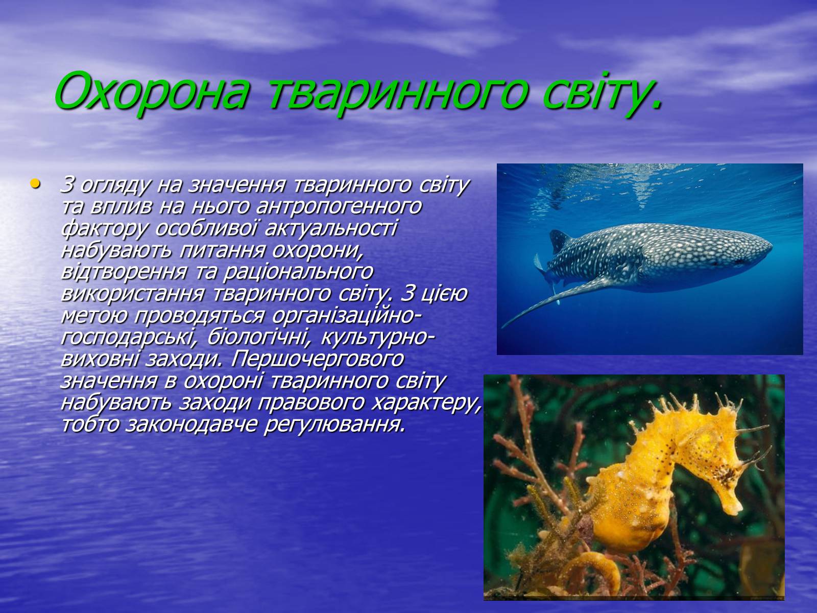 Презентація на тему «Вплив діяльності людини на природу» - Слайд #9