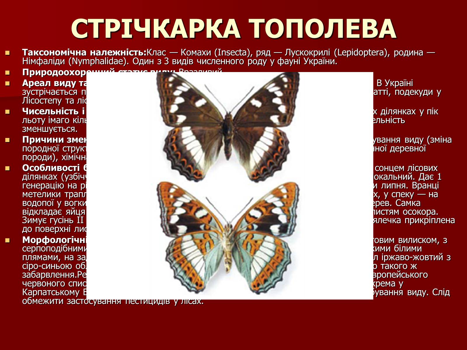 Презентація на тему «Червона книга України» (варіант 1) - Слайд #16