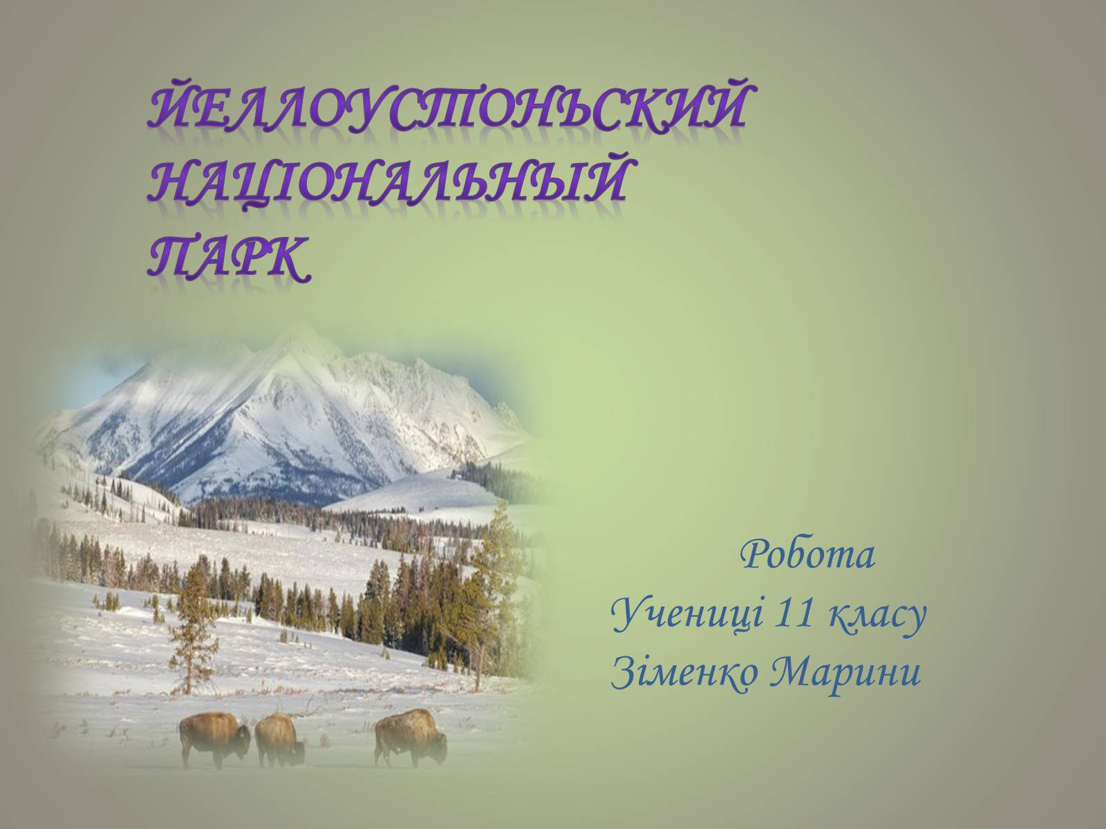 Презентація на тему «Єллоустонський національний парк» (варіант 2) - Слайд #1