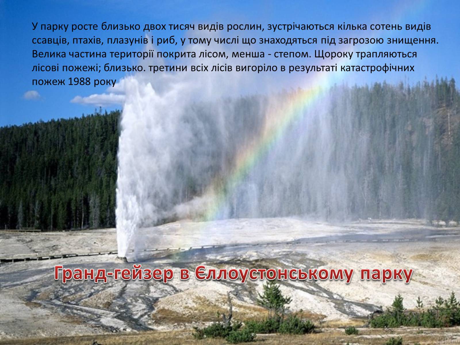 Презентація на тему «Єллоустонський національний парк» (варіант 2) - Слайд #5