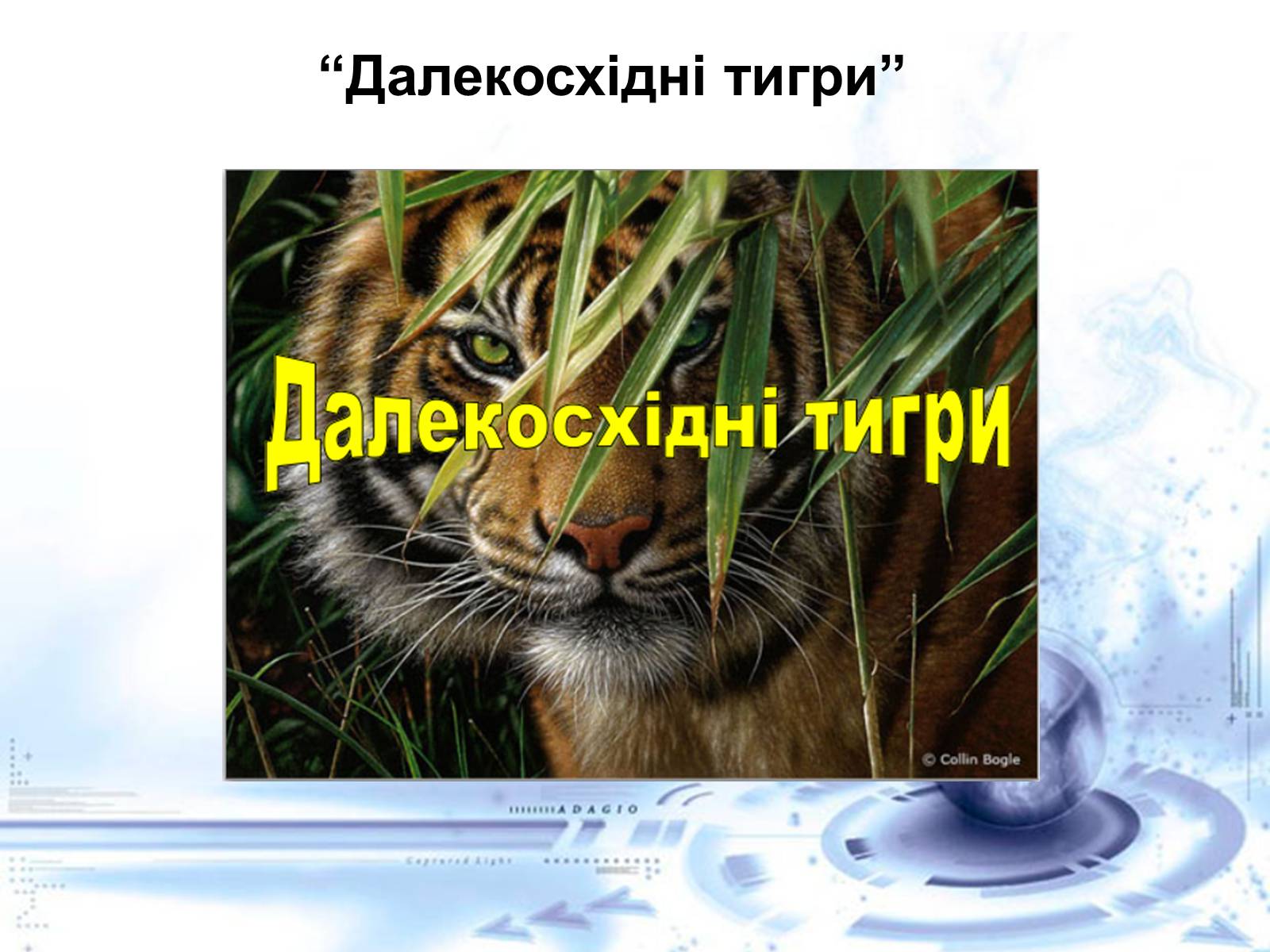 Презентація на тему «Нові індустріальні країни Азії» - Слайд #6