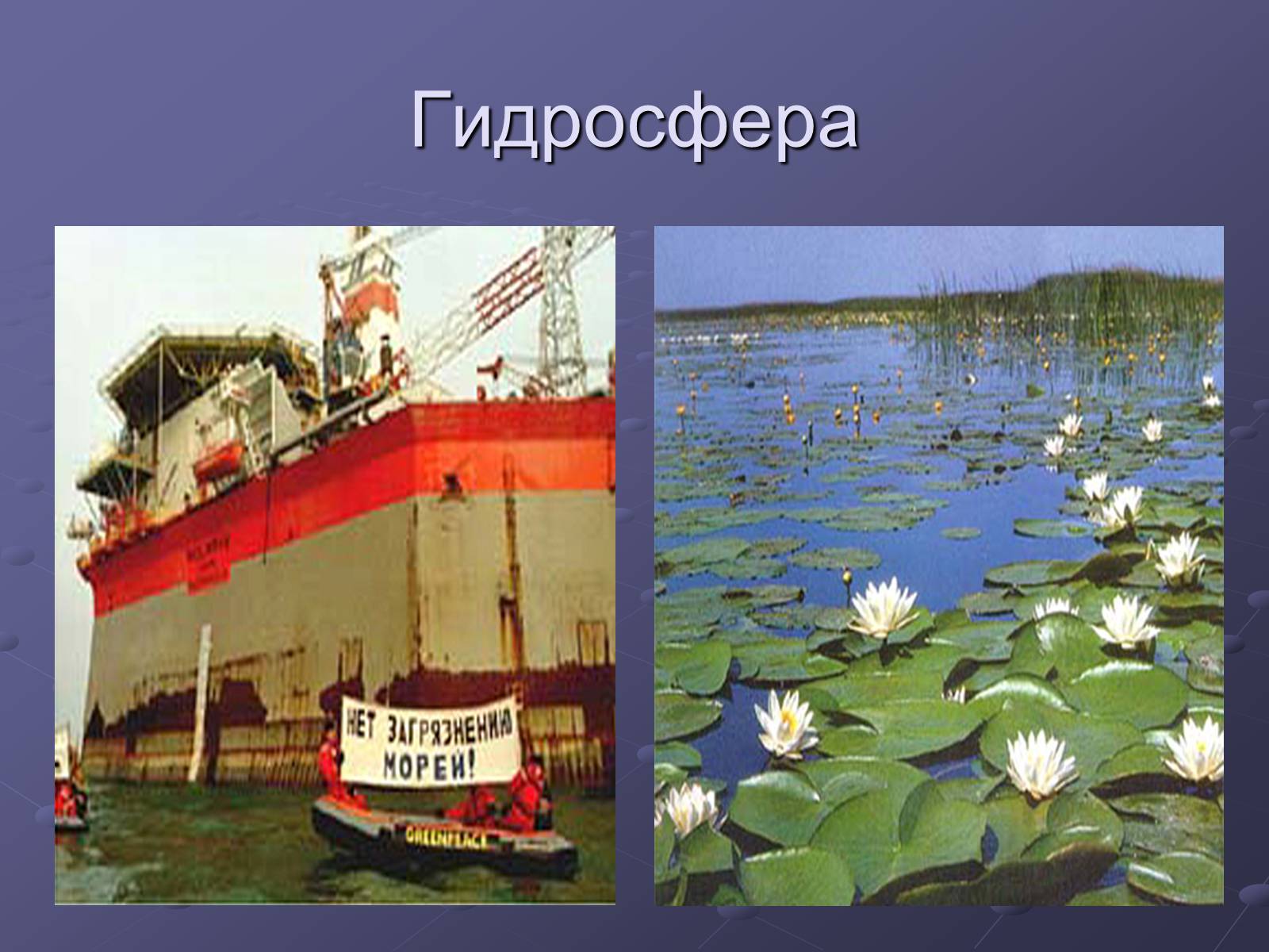 Презентація на тему «Загрязнение и охрана окружающей среды» - Слайд #10