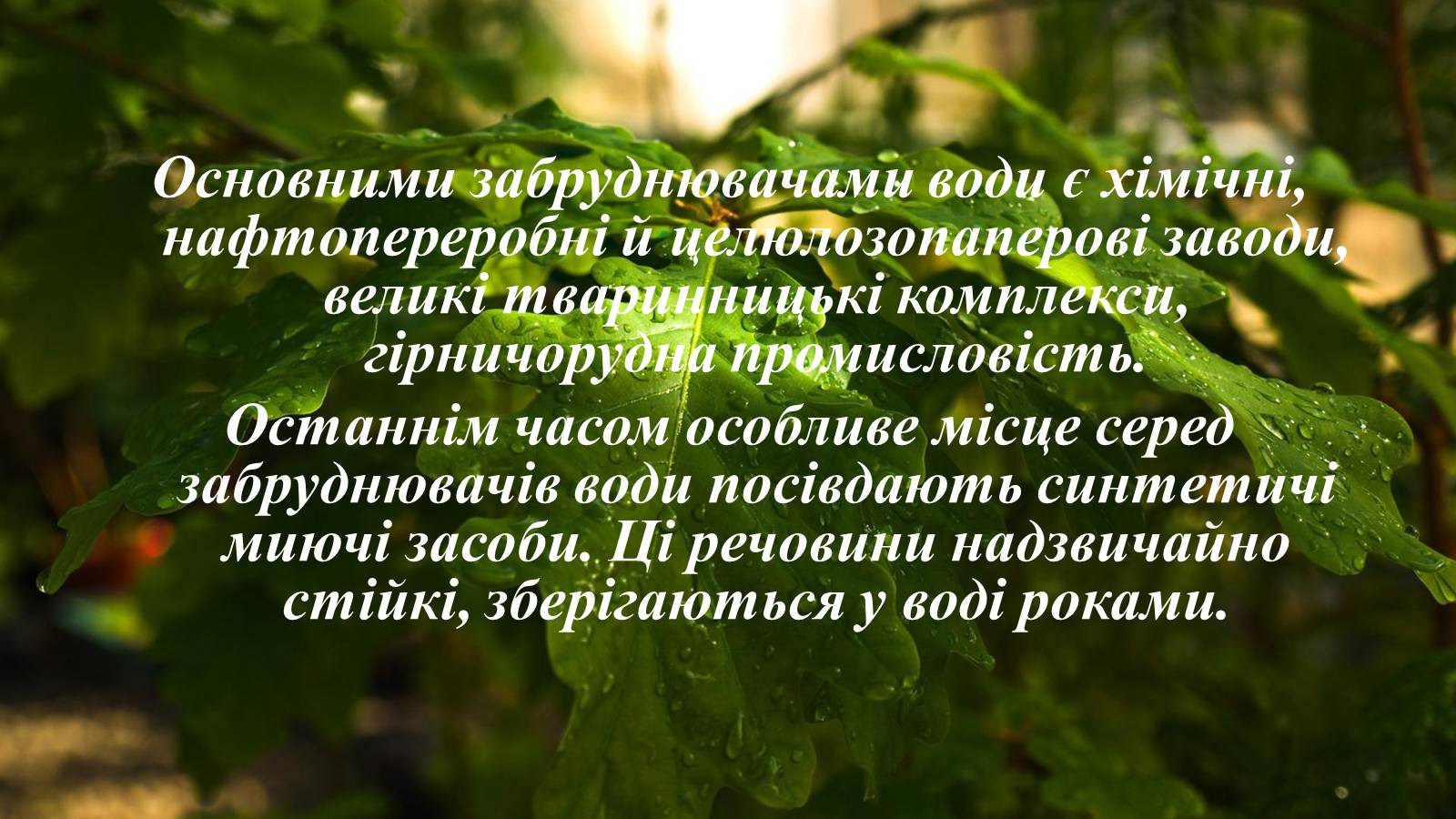 Презентація на тему «Вплив діяльності людини на гідросферу» - Слайд #17