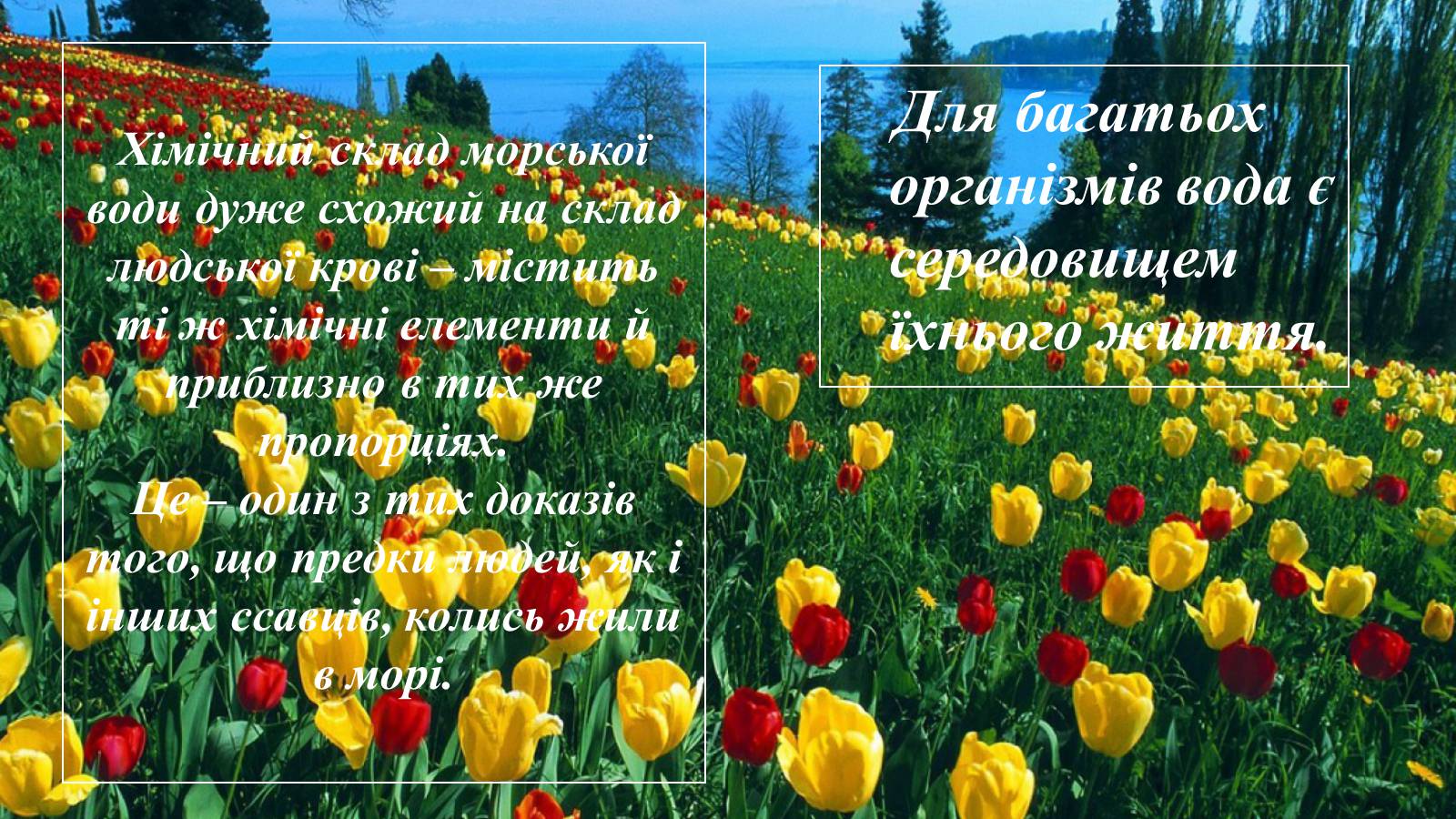 Презентація на тему «Вплив діяльності людини на гідросферу» - Слайд #5