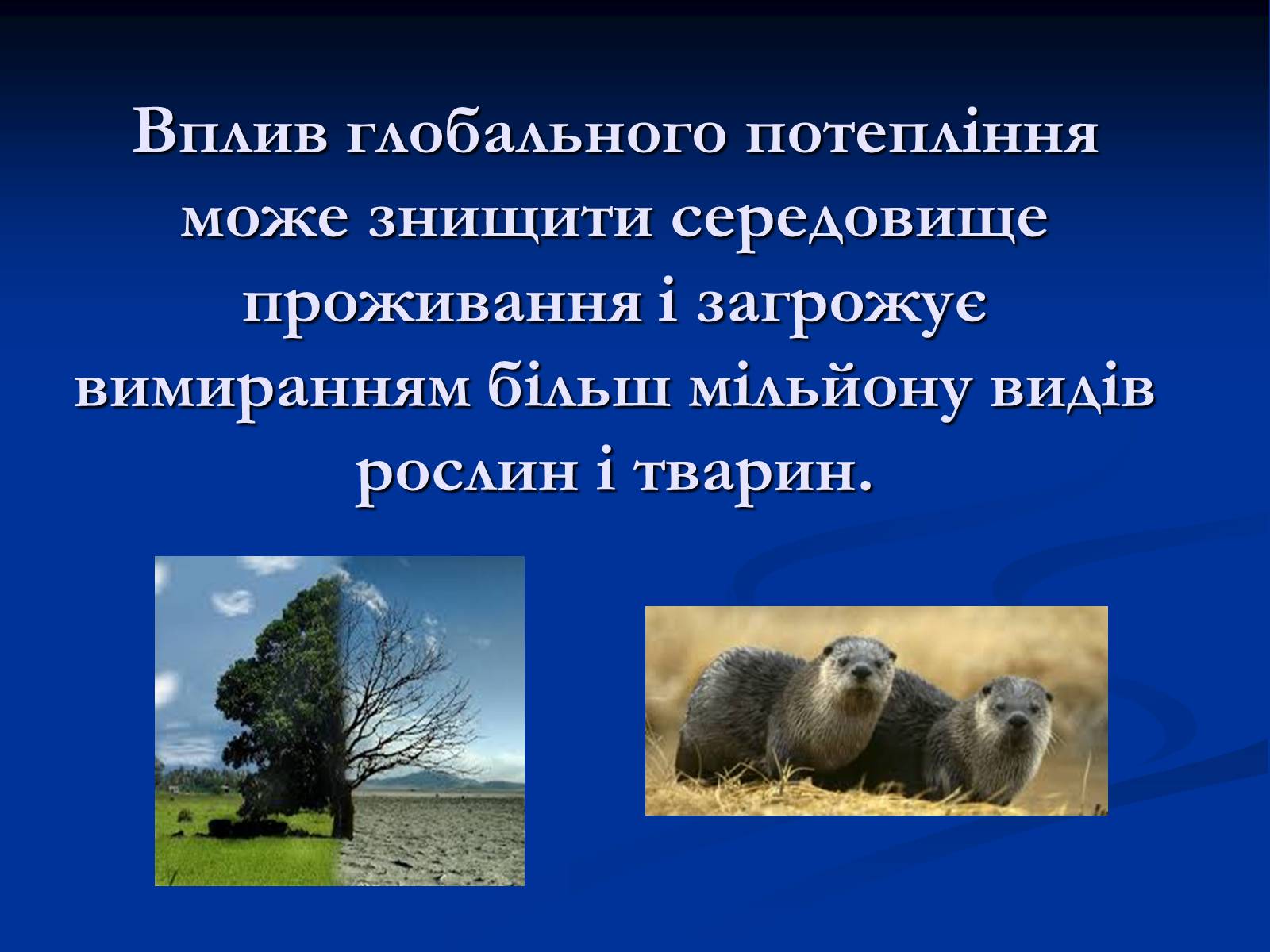 Презентація на тему «Глобальне потепління» (варіант 10) - Слайд #8