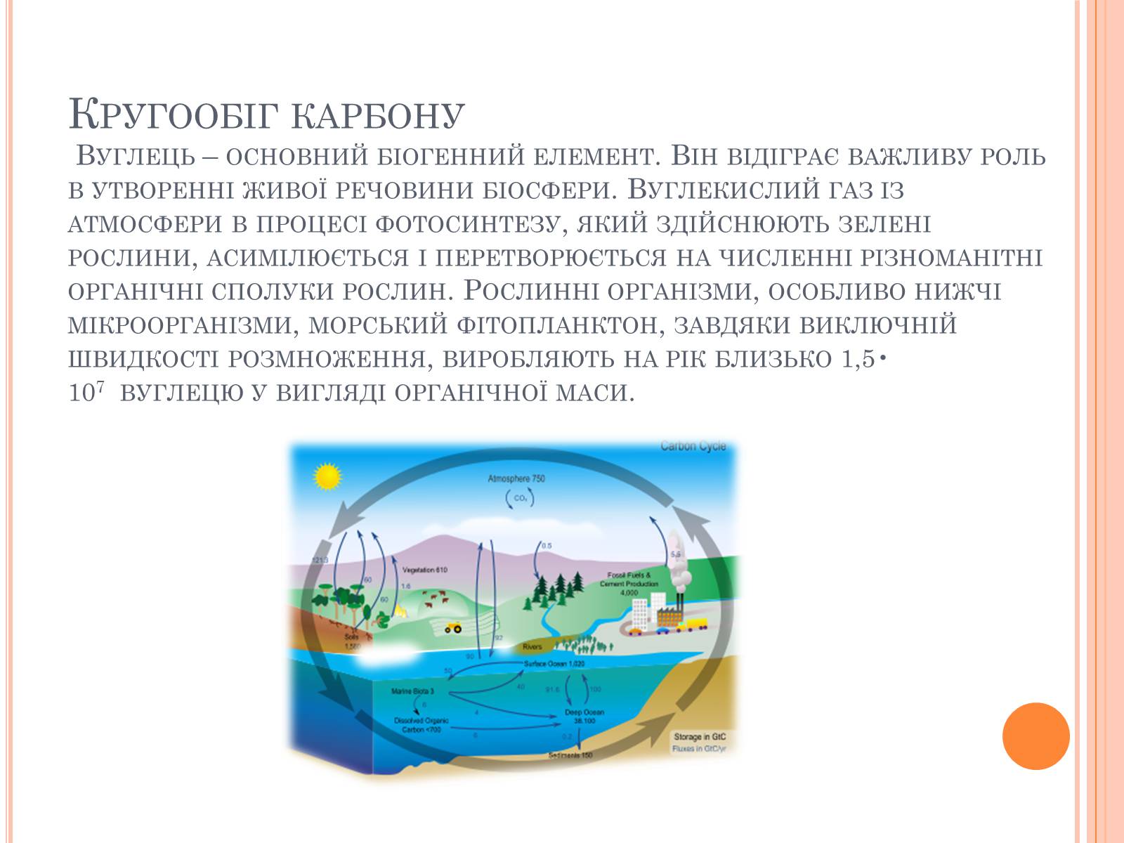 Презентація на тему «Колообіг речовин і потоки енергії» - Слайд #28