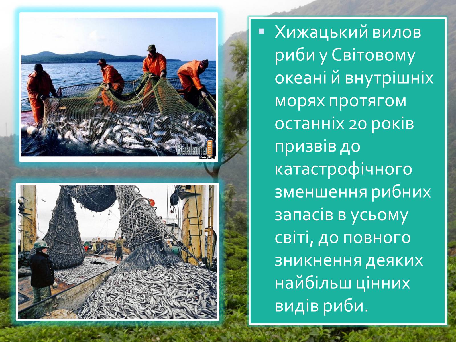 Презентація на тему «Масштаби і наслідки антропогенного впливу» - Слайд #10