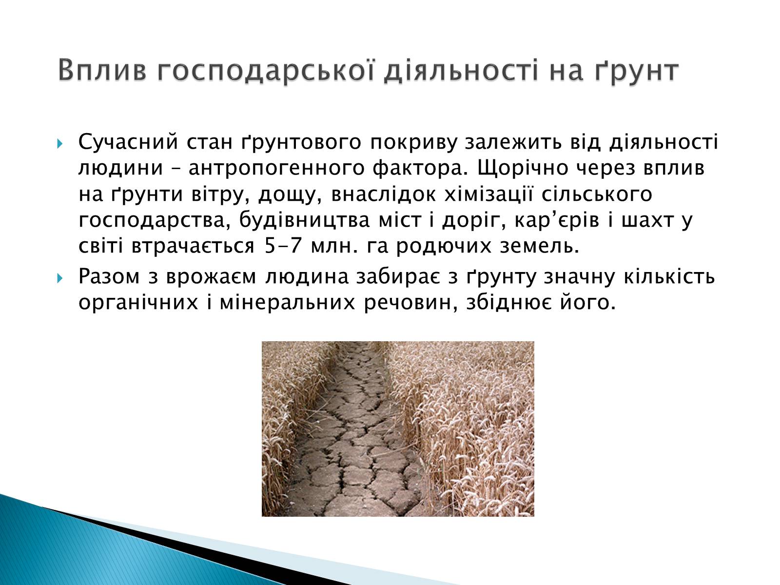 Презентація на тему «Вплив господарської діяльності на ґрунт» - Слайд #3