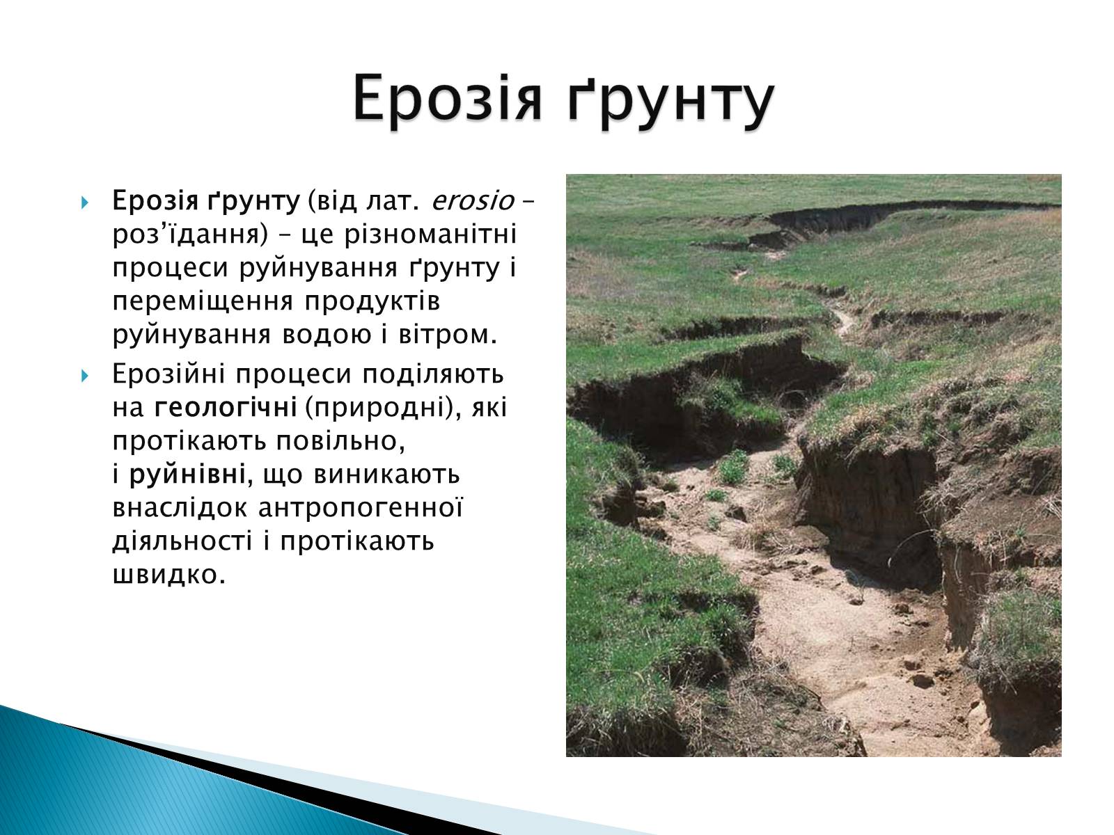 Презентація на тему «Вплив господарської діяльності на ґрунт» - Слайд #5