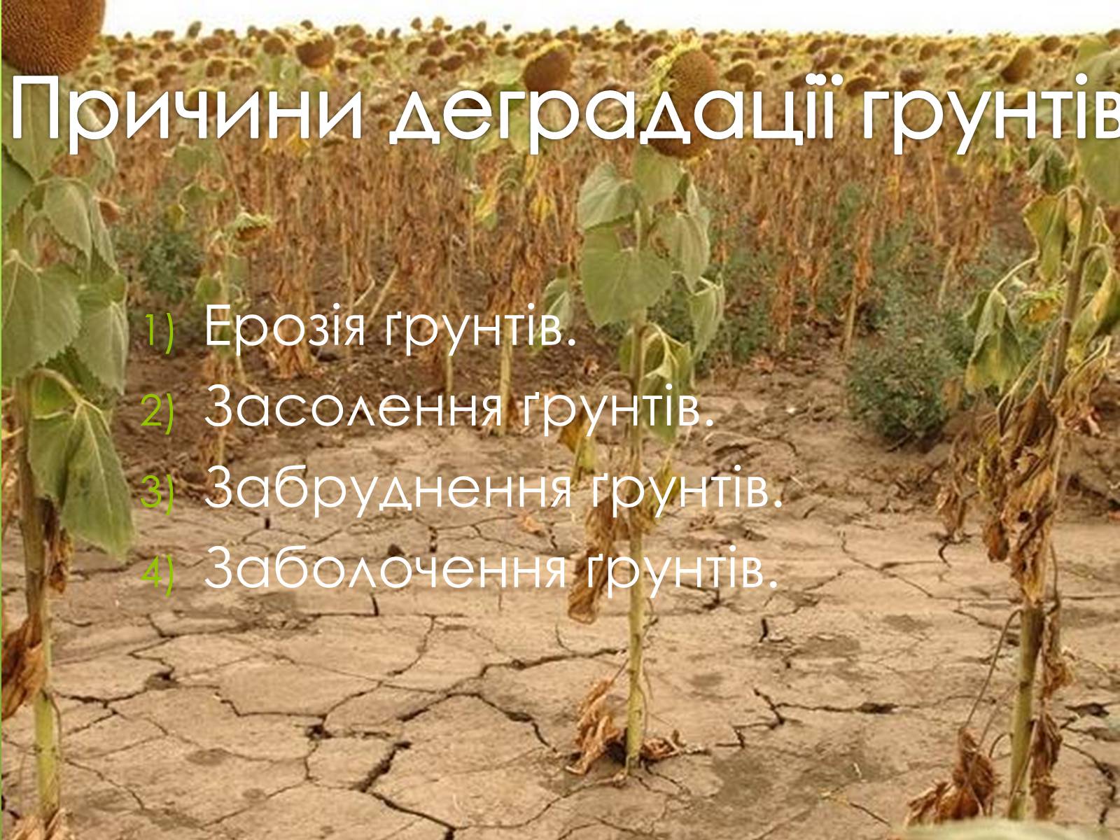 Презентація на тему «Наслідки деградації природних компонентів» - Слайд #14