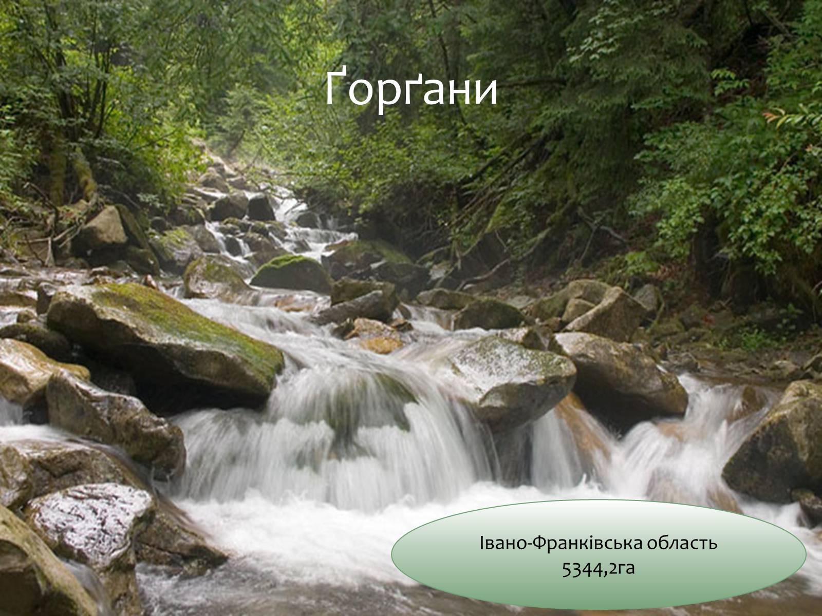 Презентація на тему «Заповідна мережа України» (варіант 6) - Слайд #3