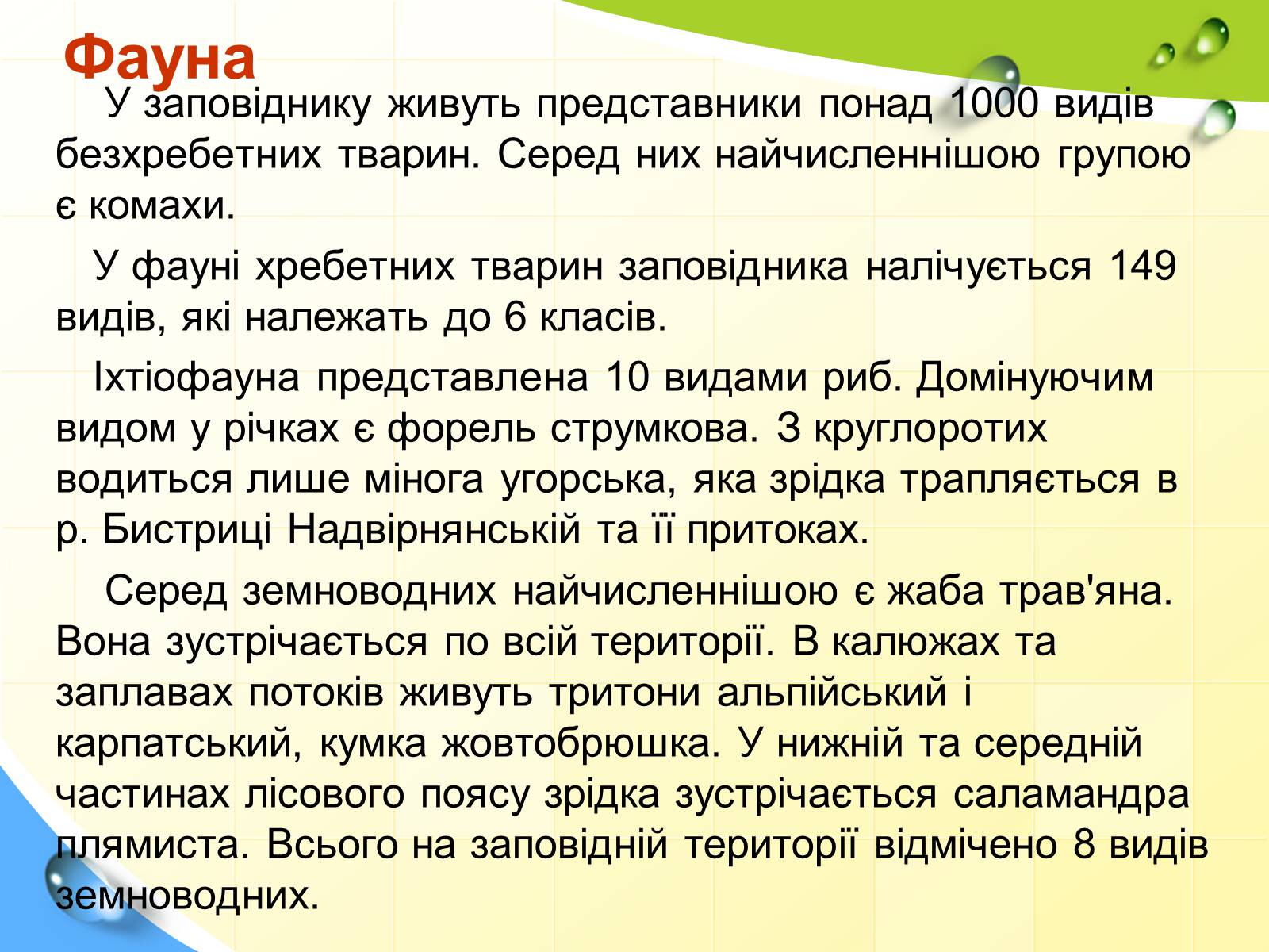 Презентація на тему «Природні заповідники України» (варіант 5) - Слайд #7