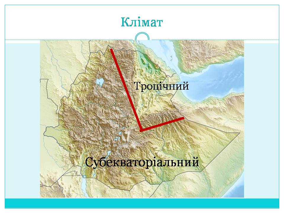 Презентація на тему «Країни Східної Африки: Ефіопія» - Слайд #10