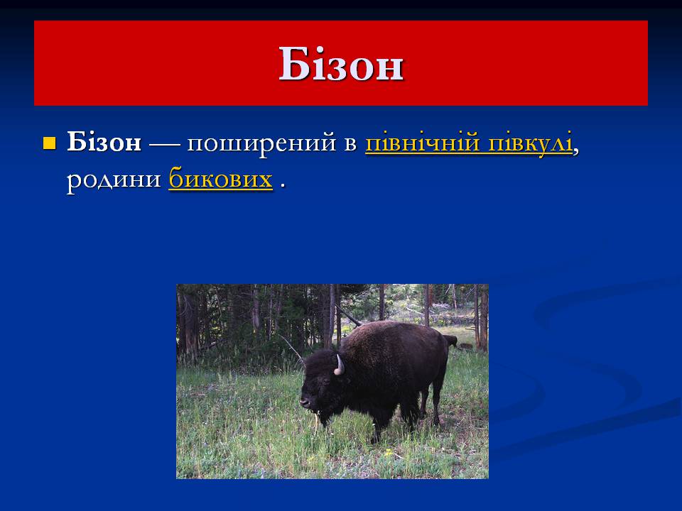 Презентація на тему «Північна Америка» (варіант 9) - Слайд #8