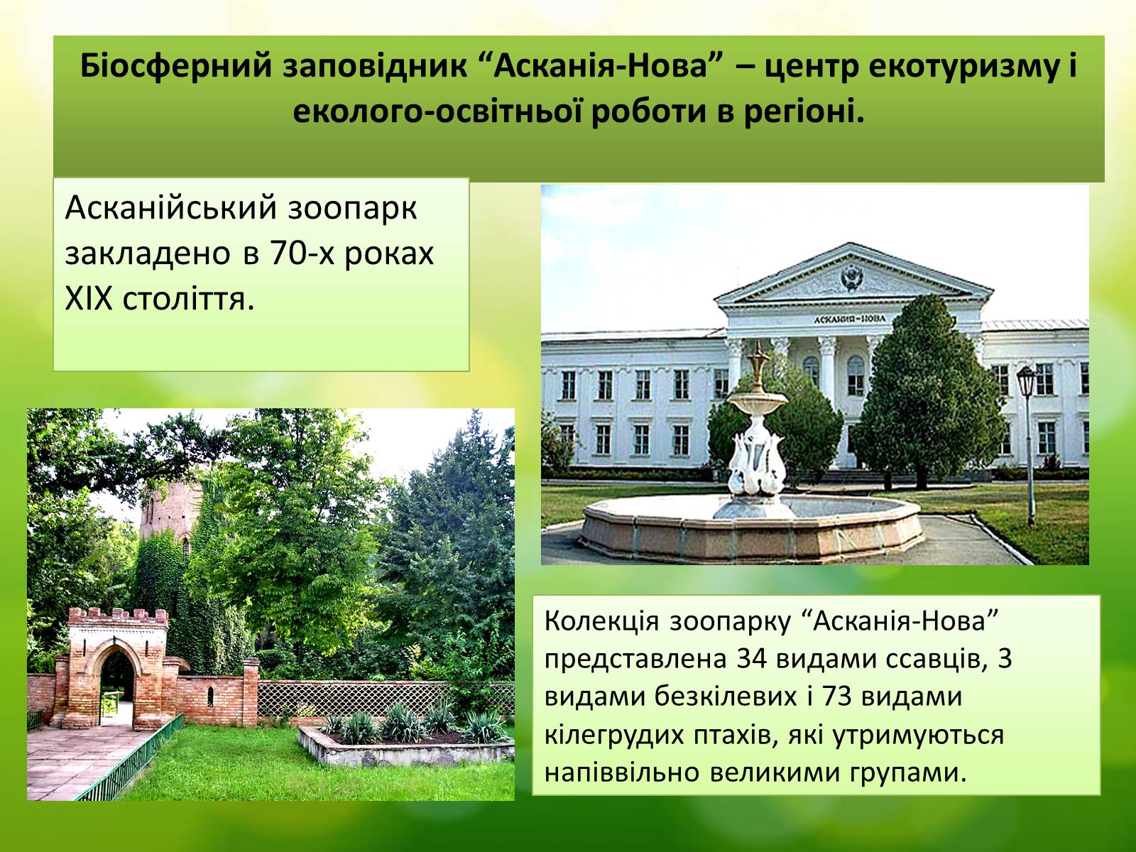 Презентація на тему «Асканія Нова» (варіант 5) - Слайд #13 Презентація на тему «Асканія Нова» (варіант 5) - Слайд #13
