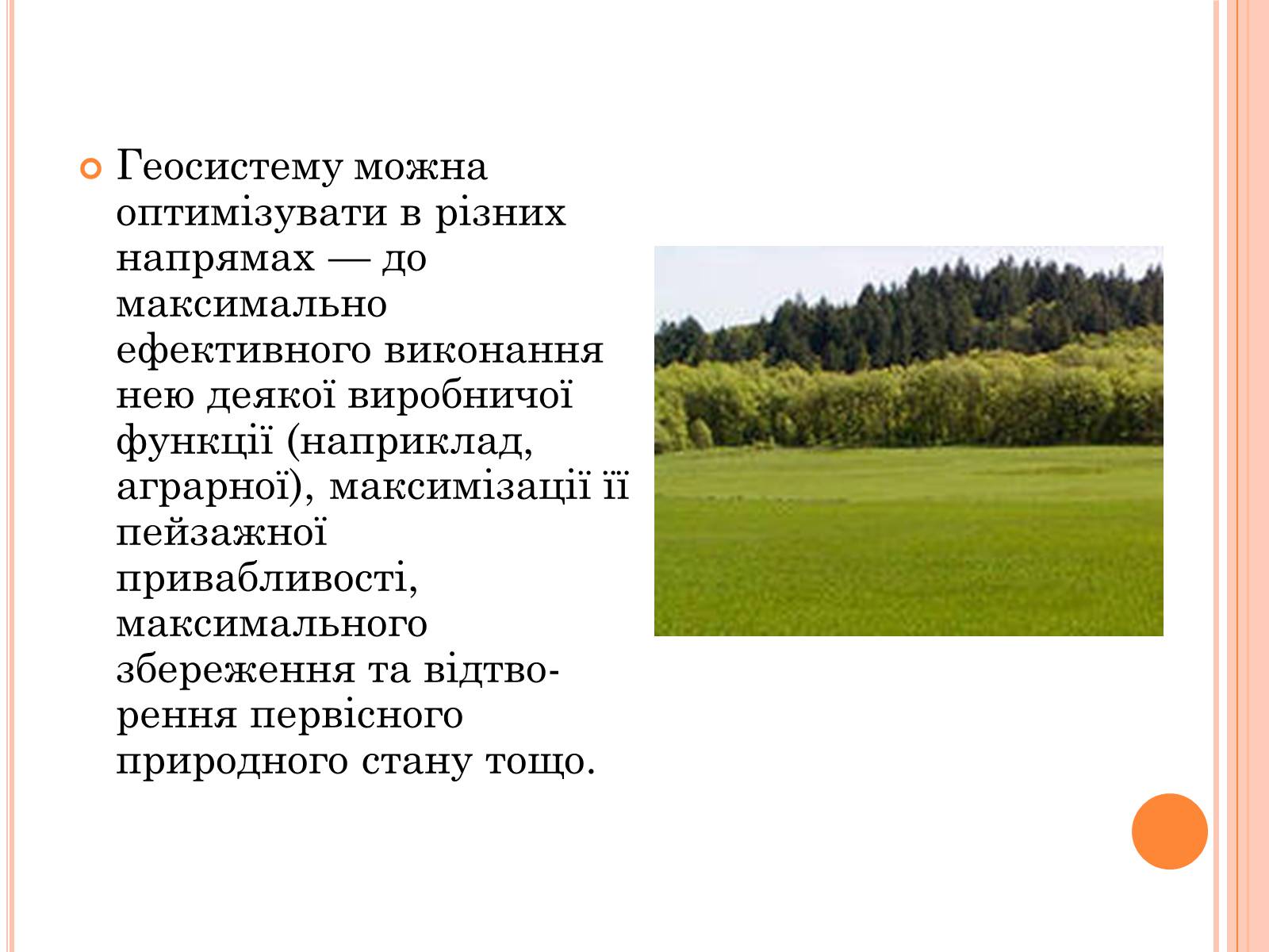 Презентація на тему «Оптимальне співвідношення природних і господарських угідь» - Слайд #3