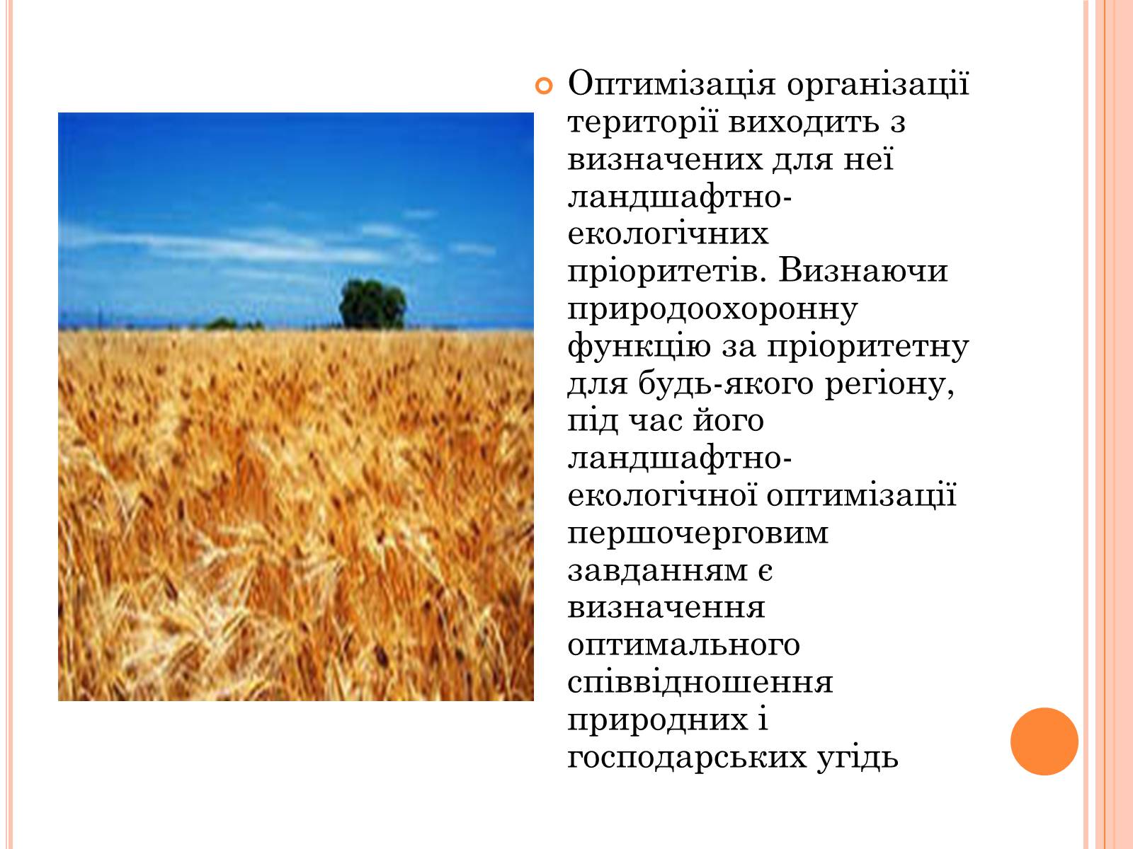 Презентація на тему «Оптимальне співвідношення природних і господарських угідь» - Слайд #6