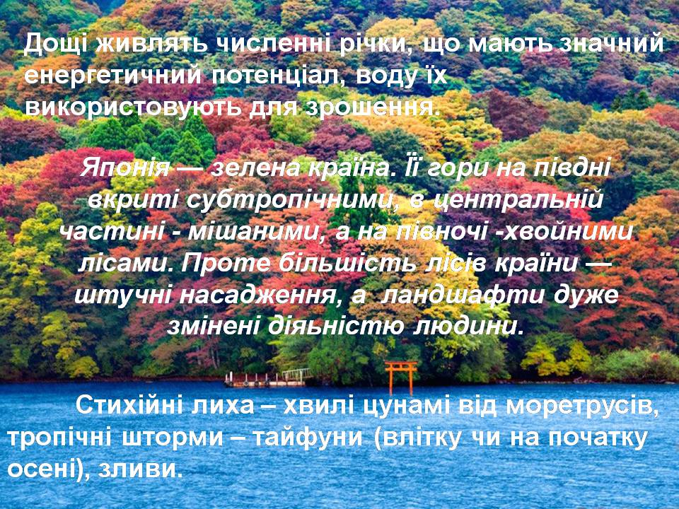 Презентація на тему «Японія» (варіант 54) - Слайд #10