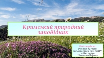 Презентація на тему «Кримський природний заповідник»