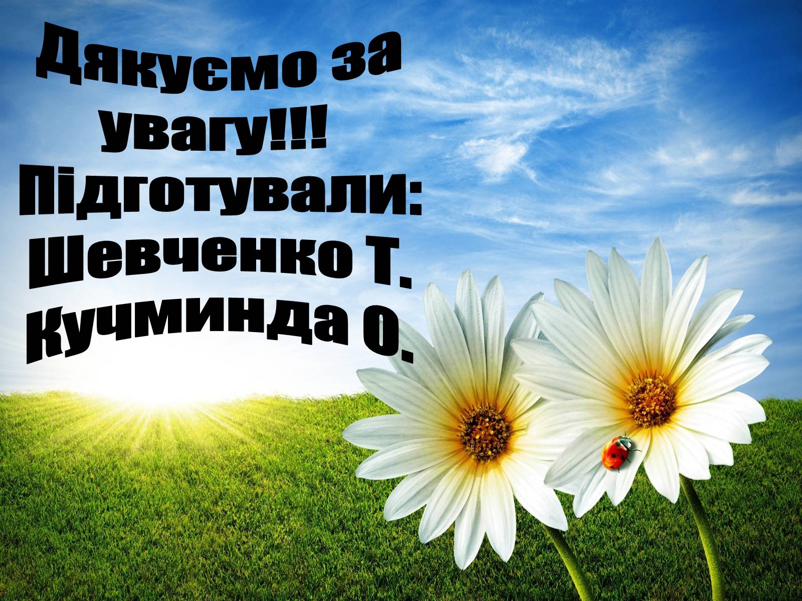 Презентація на тему «Заповідна мережа України» (варіант 4) - Слайд #20