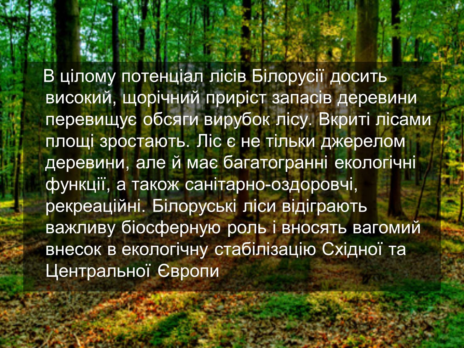 Презентація на тему «Білорусь» (варіант 6) - Слайд #9