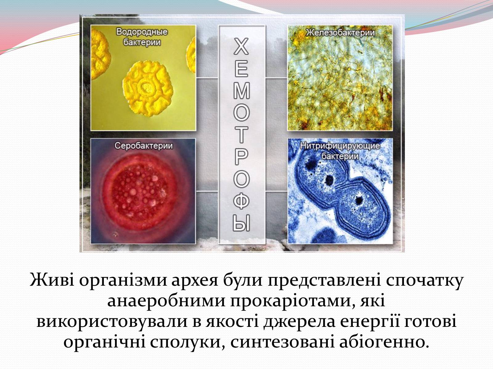 Презентація на тему «Геологічна історія Землі. Архейська ера» - Слайд #6