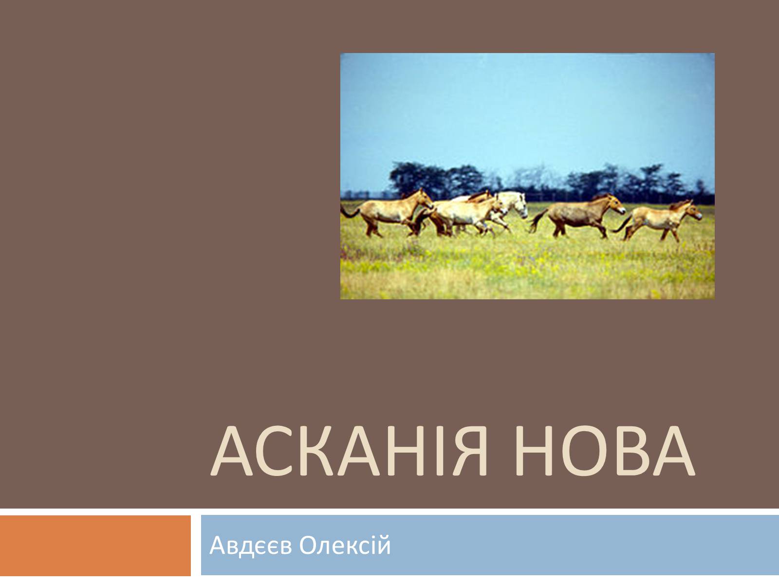 Презентація на тему «Асканія Нова» (варіант 1) - Слайд #1