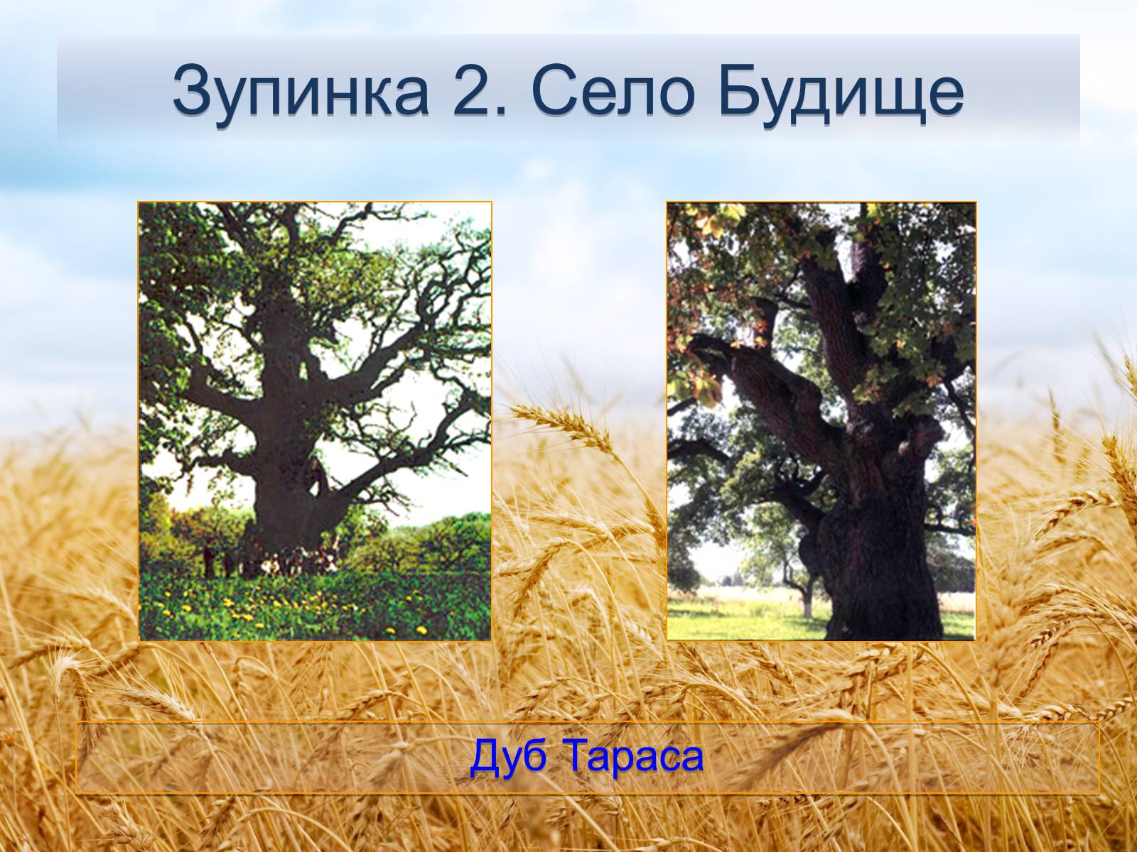 Презентація на тему «Черкащина - серце України» - Слайд #7