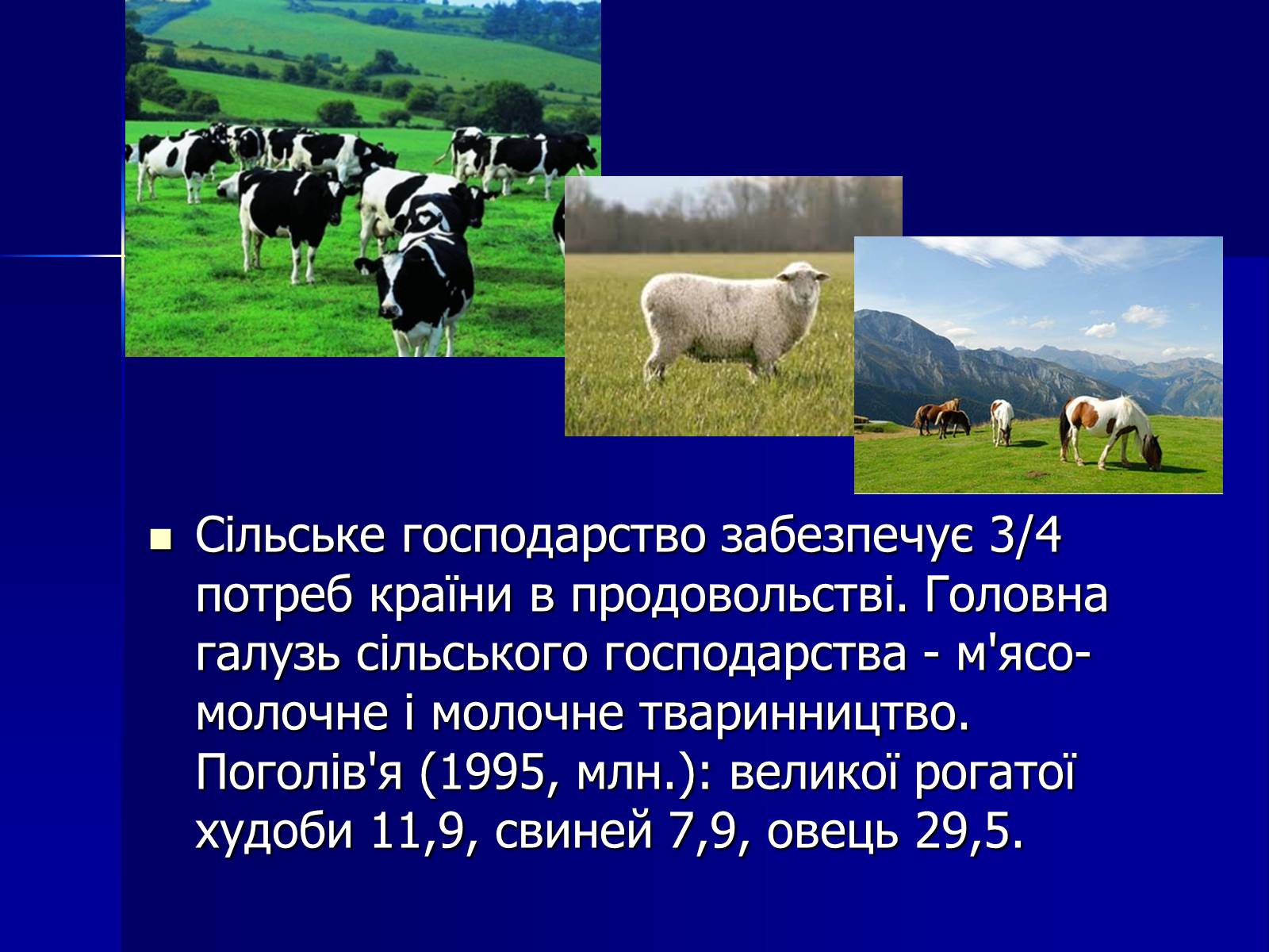 Презентація на тему «Велика Британія» (варіант 2) - Слайд #31