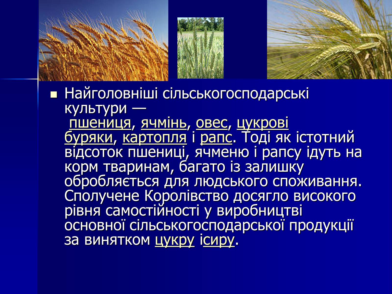 Презентація на тему «Велика Британія» (варіант 2) - Слайд #32