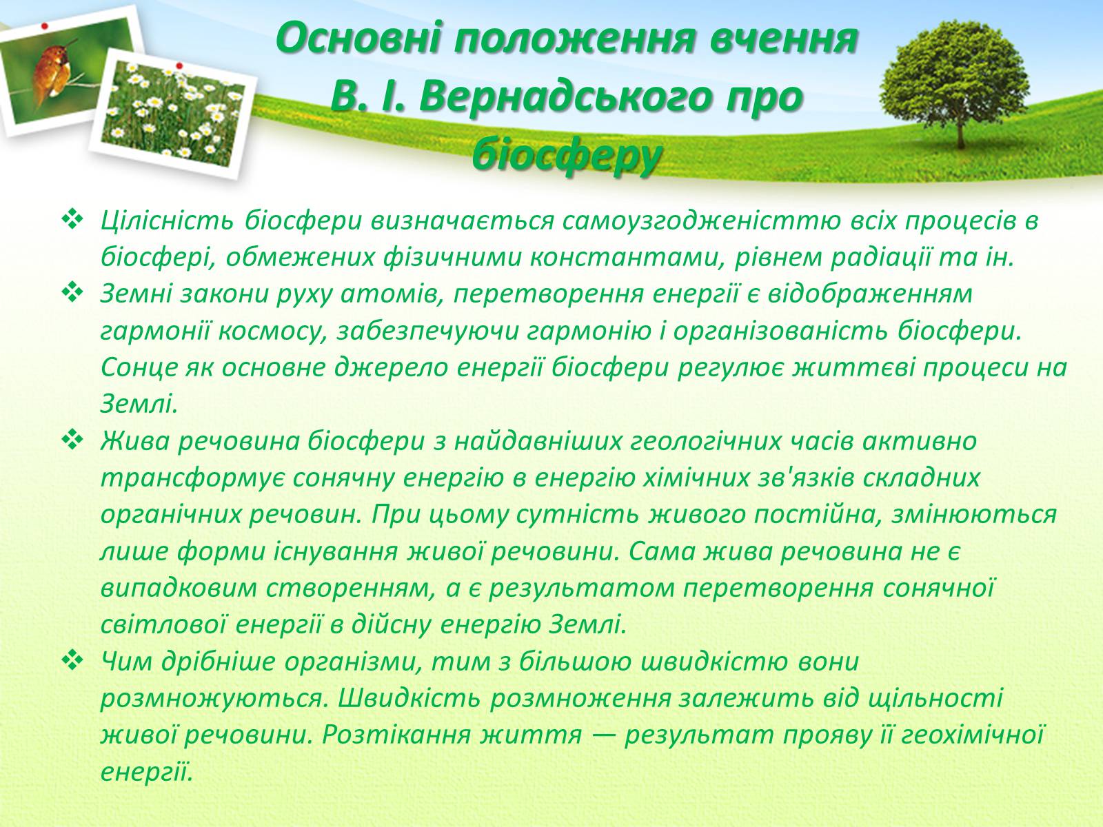 Презентація на тему «Вчення Вернадського Володимира Івановича про біосферу» - Слайд #13