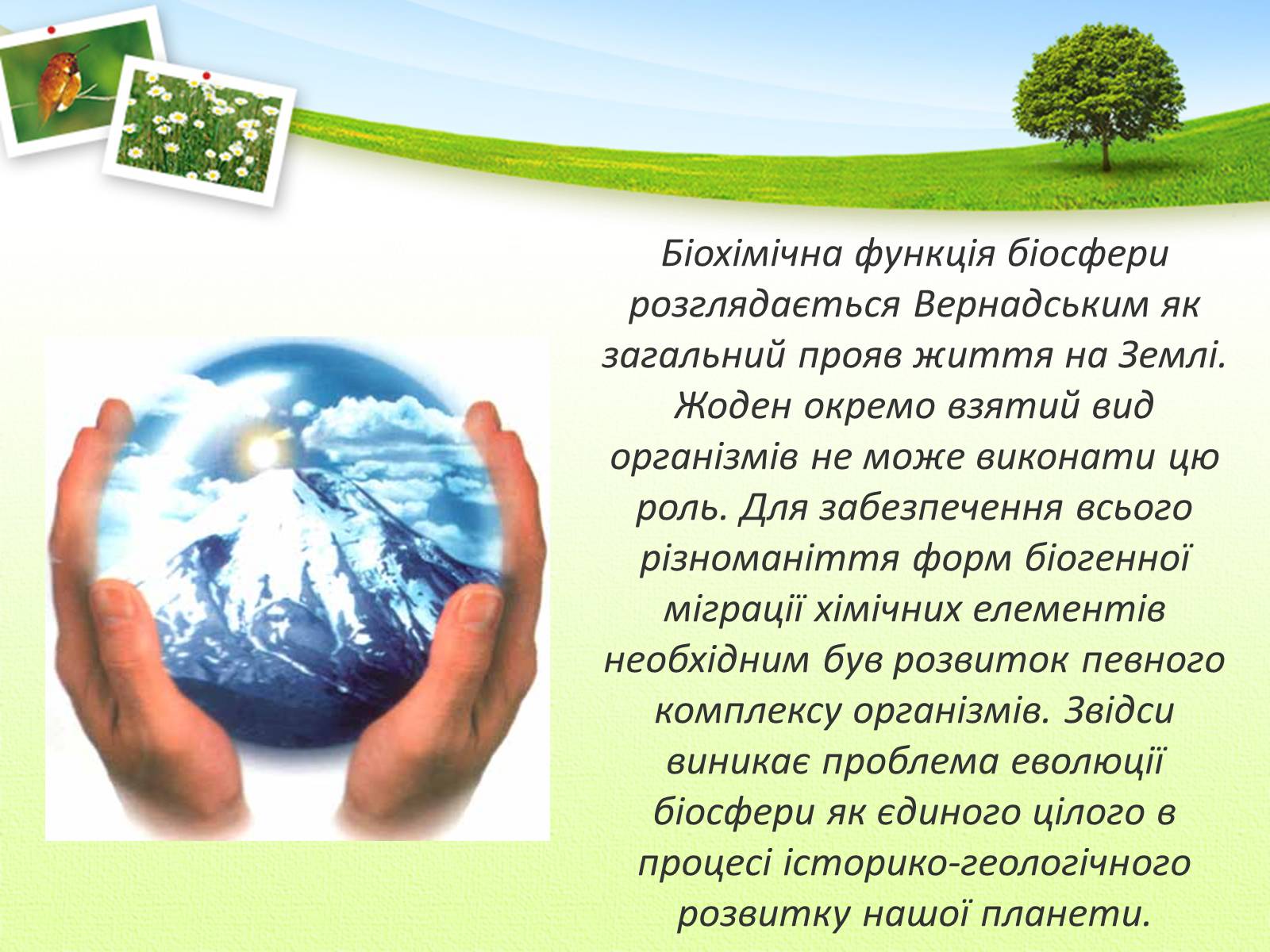 Презентація на тему «Вчення Вернадського Володимира Івановича про біосферу» - Слайд #9