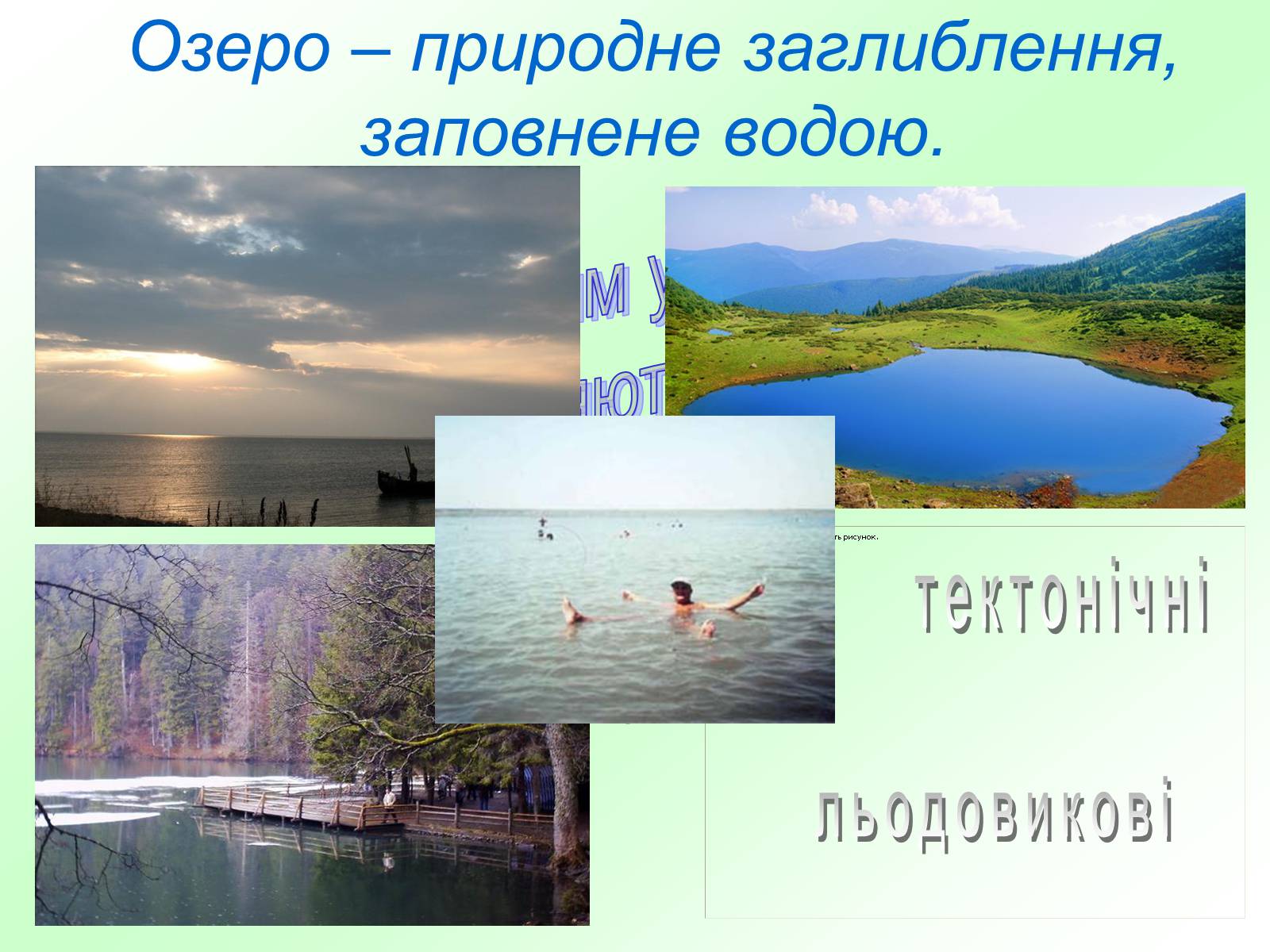 Презентація на тему «Природні та штучні водойми» - Слайд #4