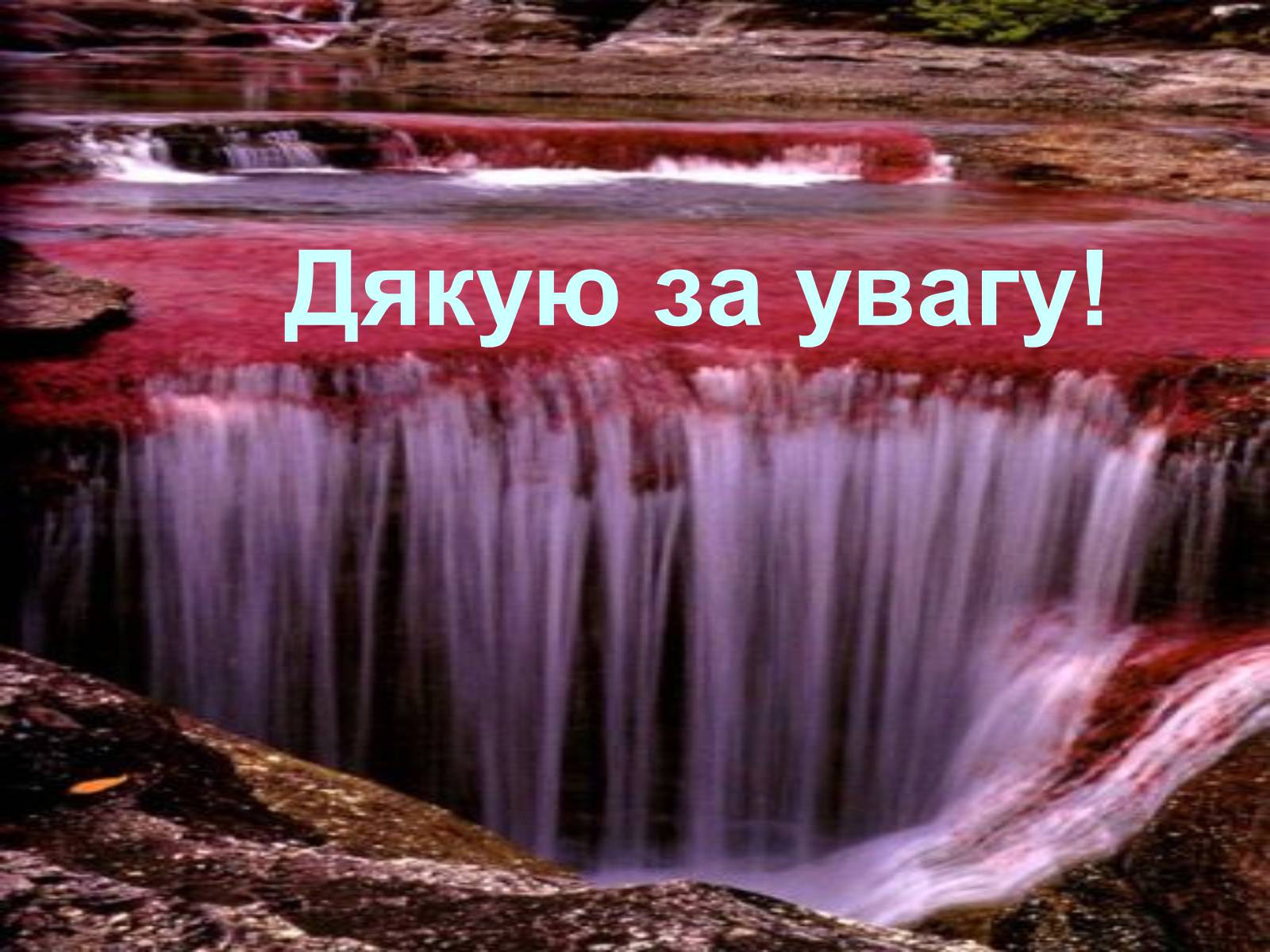 Презентація на тему «Природні та штучні водойми» - Слайд #9