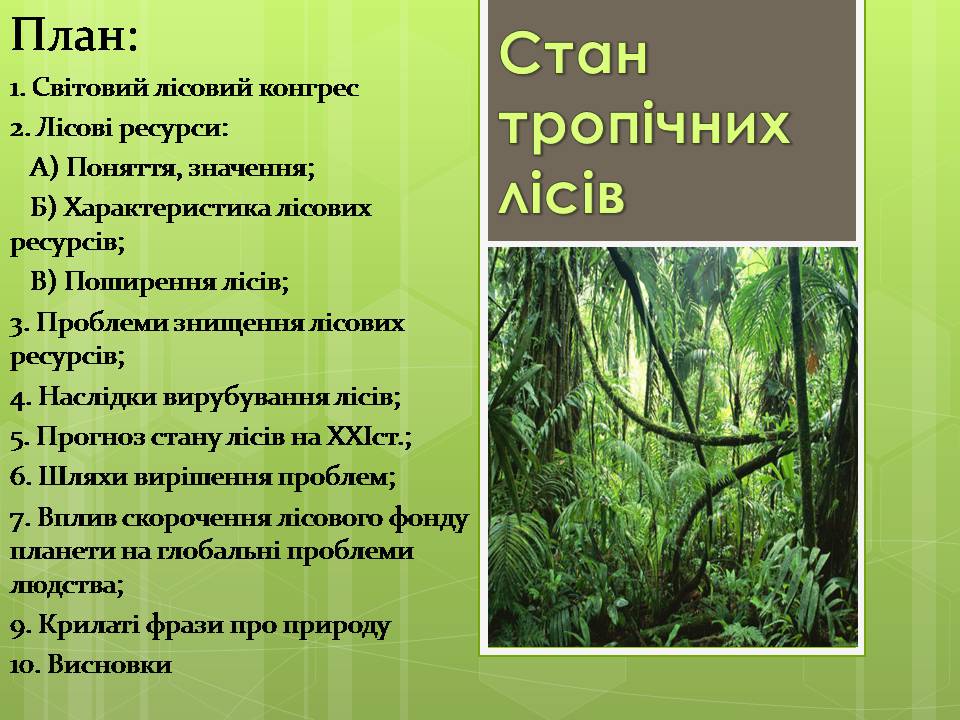 Презентація на тему «Стан тропічних лісів» - Слайд #1