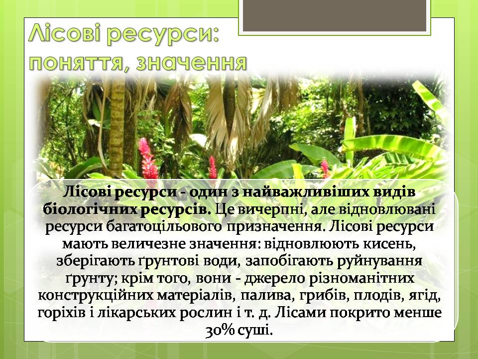 Презентація на тему «Стан тропічних лісів» - Слайд #3