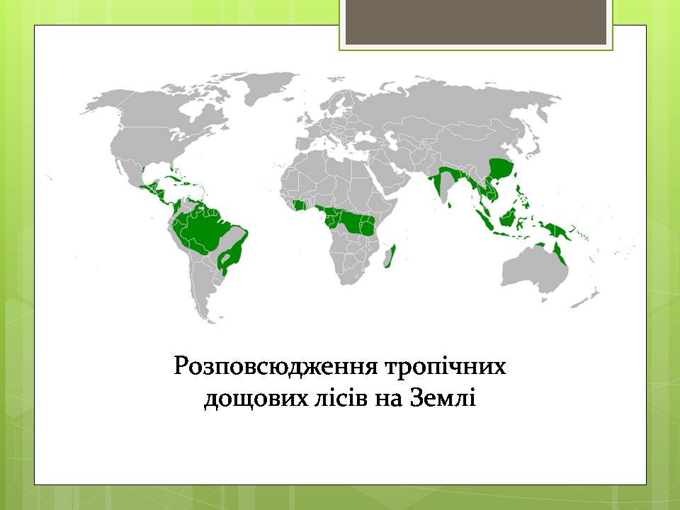 Презентація на тему «Стан тропічних лісів» - Слайд #6
