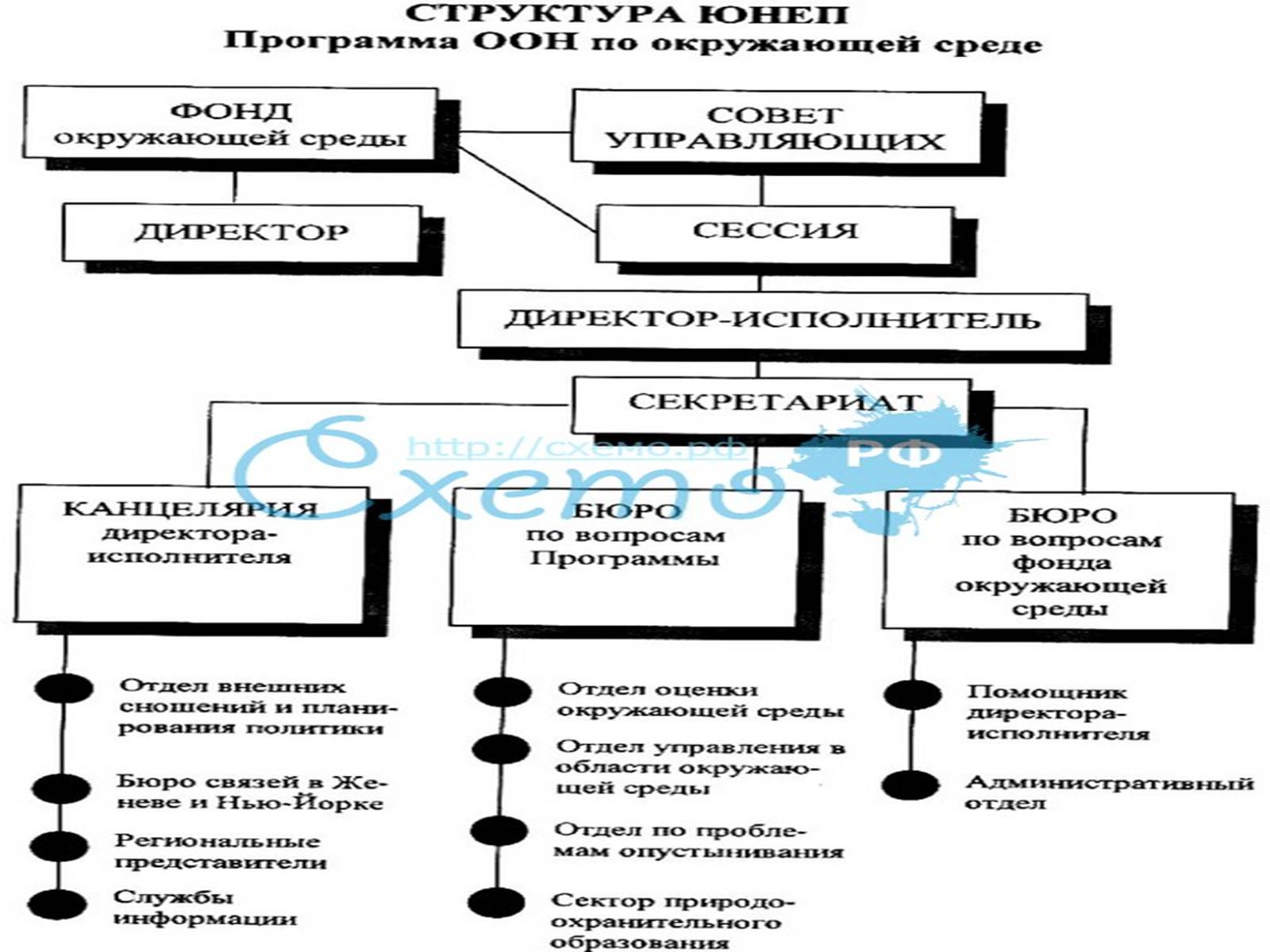 Презентація на тему «Міжнародні організації та охорона навколишнього середовища» - Слайд #13