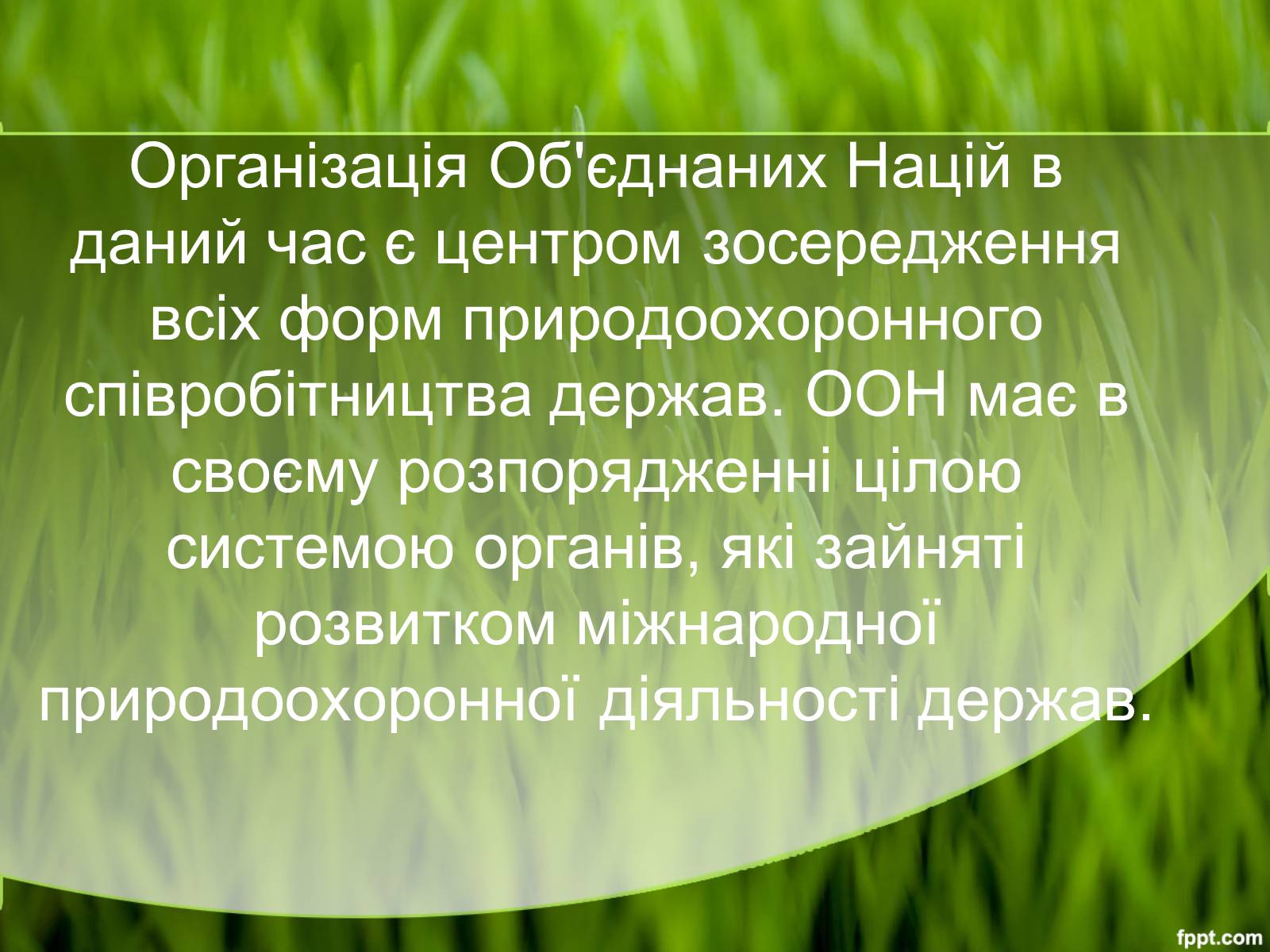 Презентація на тему «Міжнародні організації та охорона навколишнього середовища» - Слайд #3