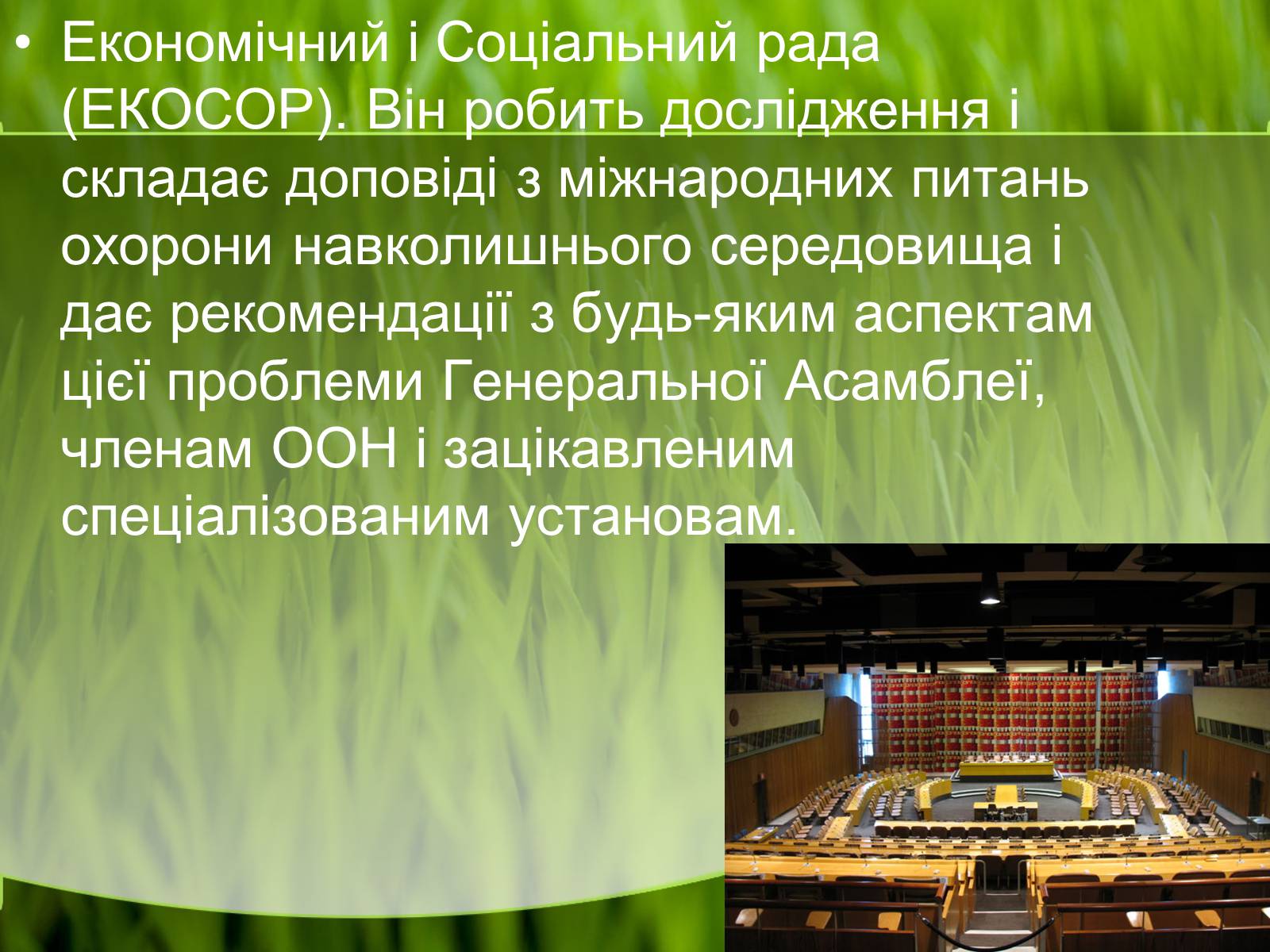 Презентація на тему «Міжнародні організації та охорона навколишнього середовища» - Слайд #5