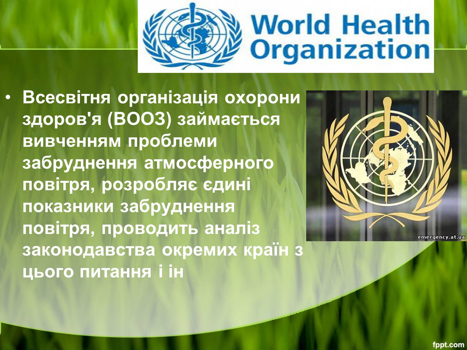 Презентація на тему «Міжнародні організації та охорона навколишнього середовища» - Слайд #7