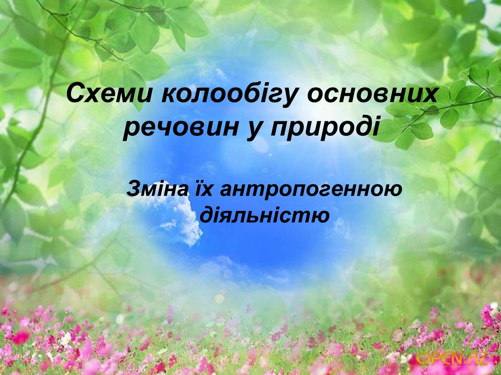 Презентація на тему «Схеми колообігу основних речовин у природі» - Слайд #1