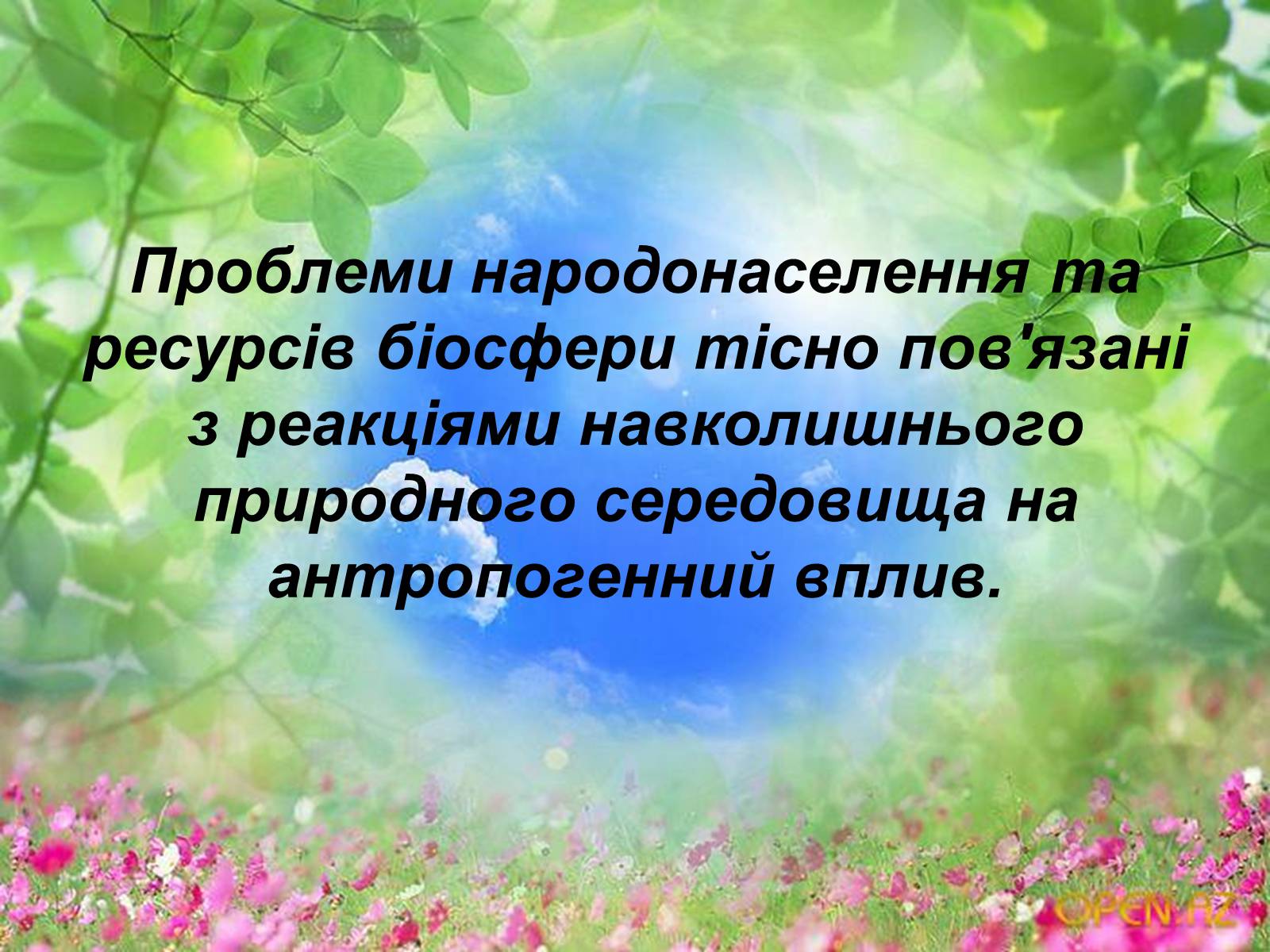 Презентація на тему «Схеми колообігу основних речовин у природі» - Слайд #11