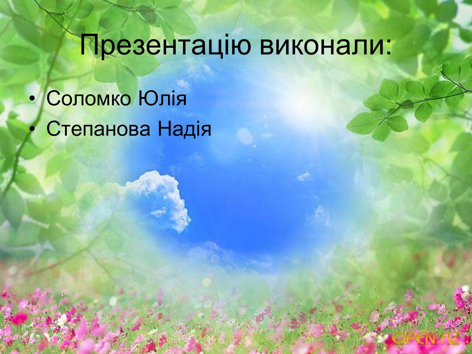 Презентація на тему «Схеми колообігу основних речовин у природі» - Слайд #13