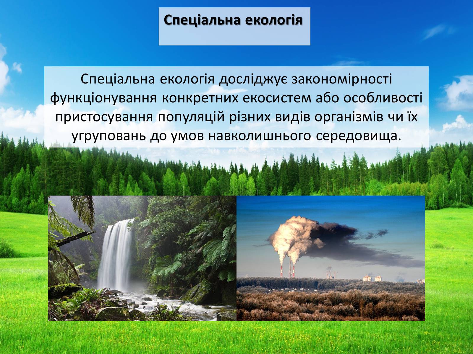 Презентація на тему «Структура сучасної екології та її місце в системі наук» (варіант 2) - Слайд #10