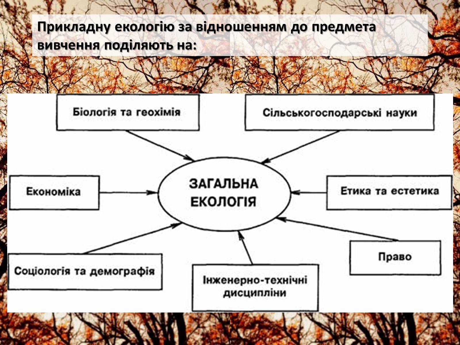 Презентація на тему «Структура сучасної екології та її місце в системі наук» (варіант 2) - Слайд #12