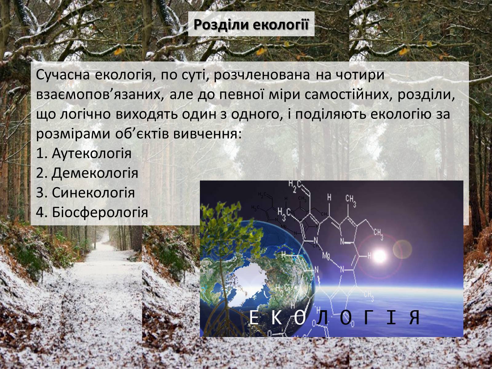 Презентація на тему «Структура сучасної екології та її місце в системі наук» (варіант 2) - Слайд #13