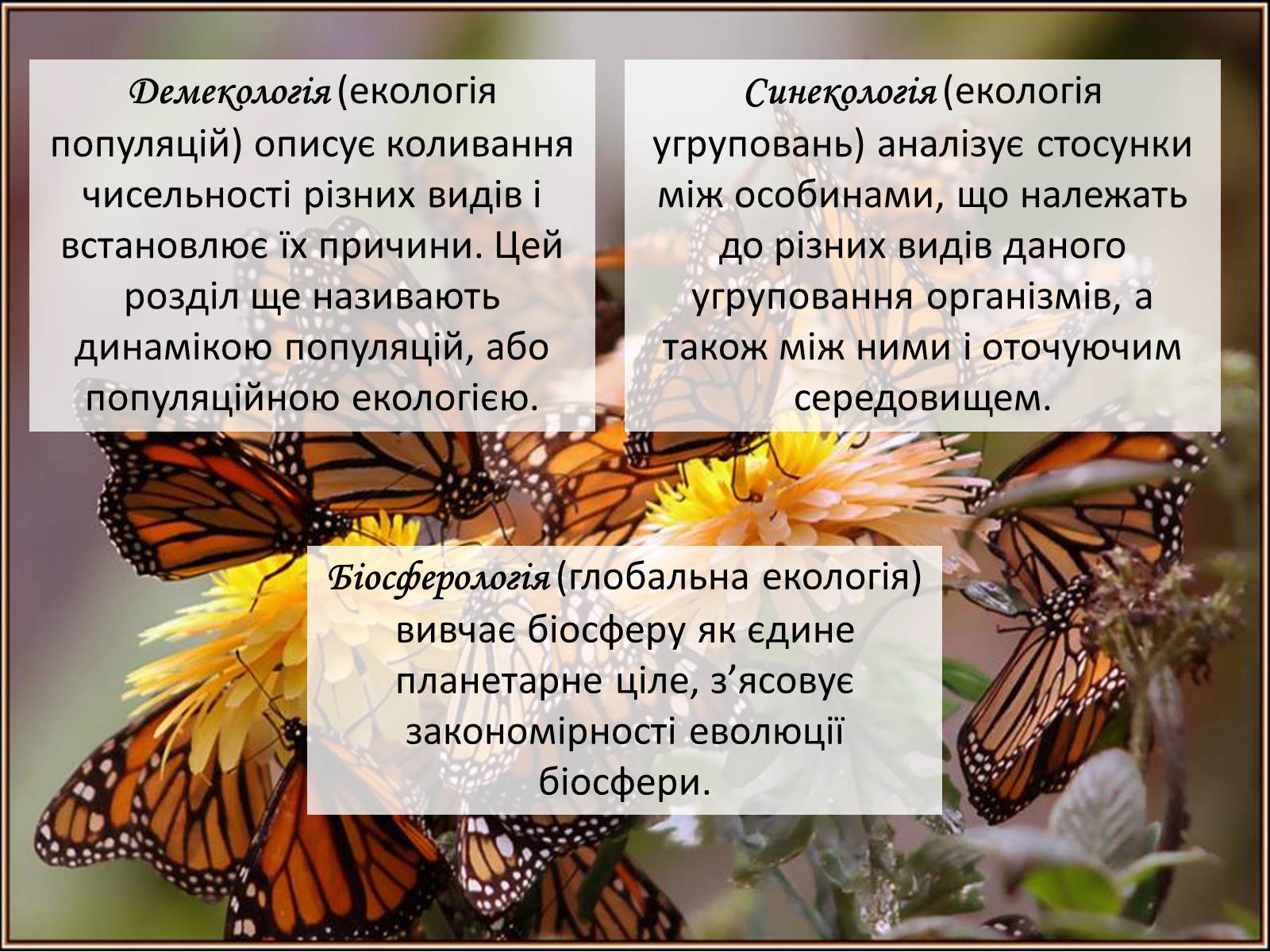 Презентація на тему «Структура сучасної екології та її місце в системі наук» (варіант 2) - Слайд #15