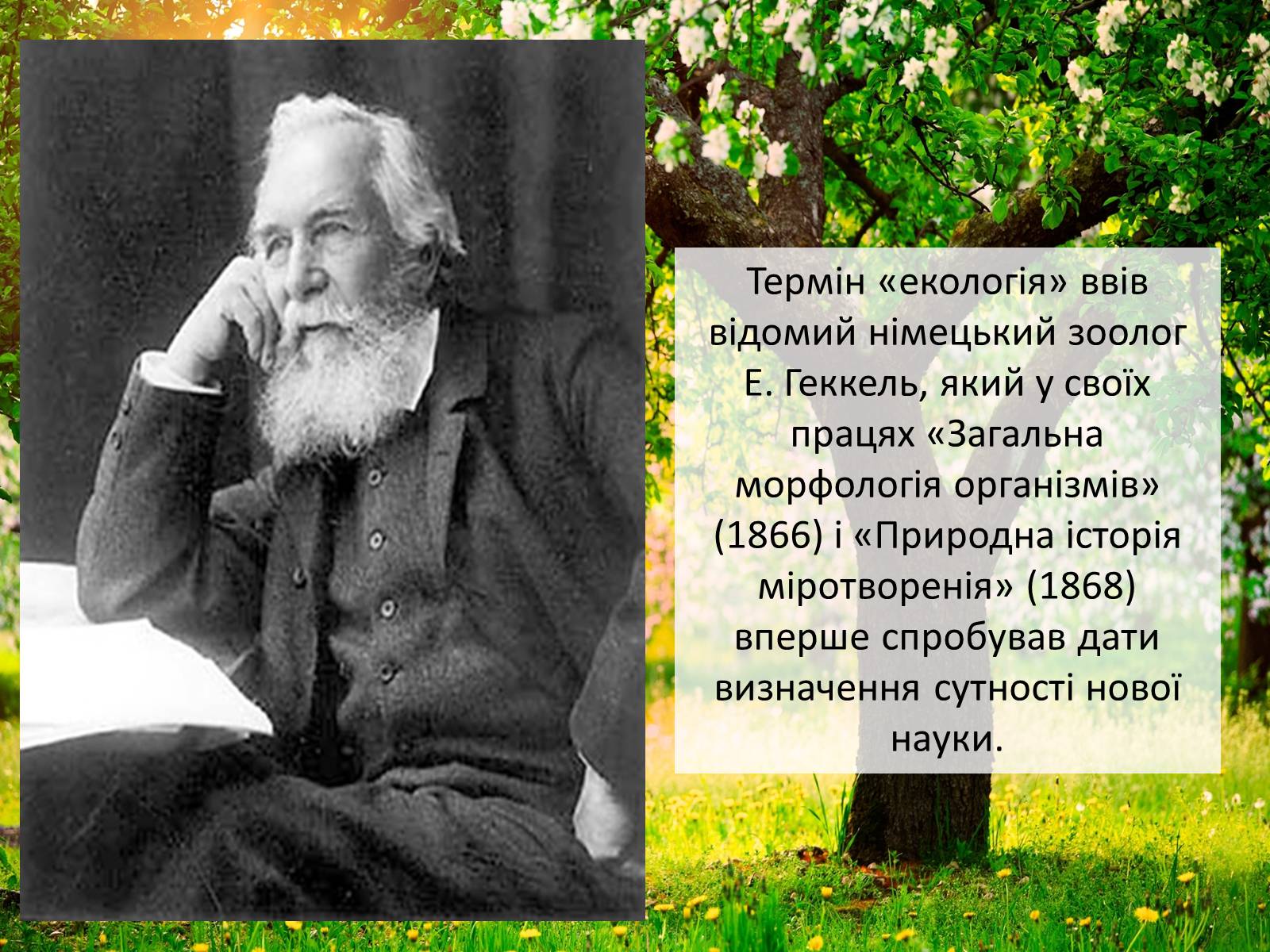 Презентація на тему «Структура сучасної екології та її місце в системі наук» (варіант 2) - Слайд #4