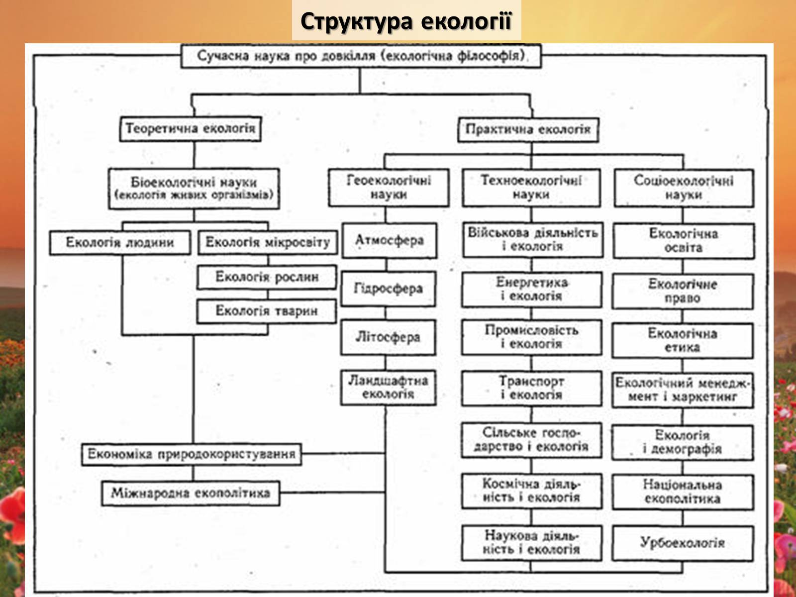 Презентація на тему «Структура сучасної екології та її місце в системі наук» (варіант 2) - Слайд #7